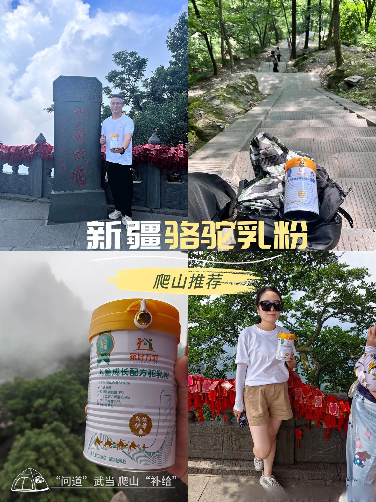 在这片辽阔的新疆沃土之上,我们穿梭于雪山与草原