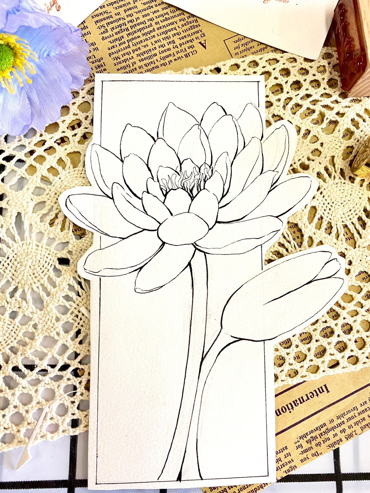 手绘水彩花卉分享——睡莲(附过程图