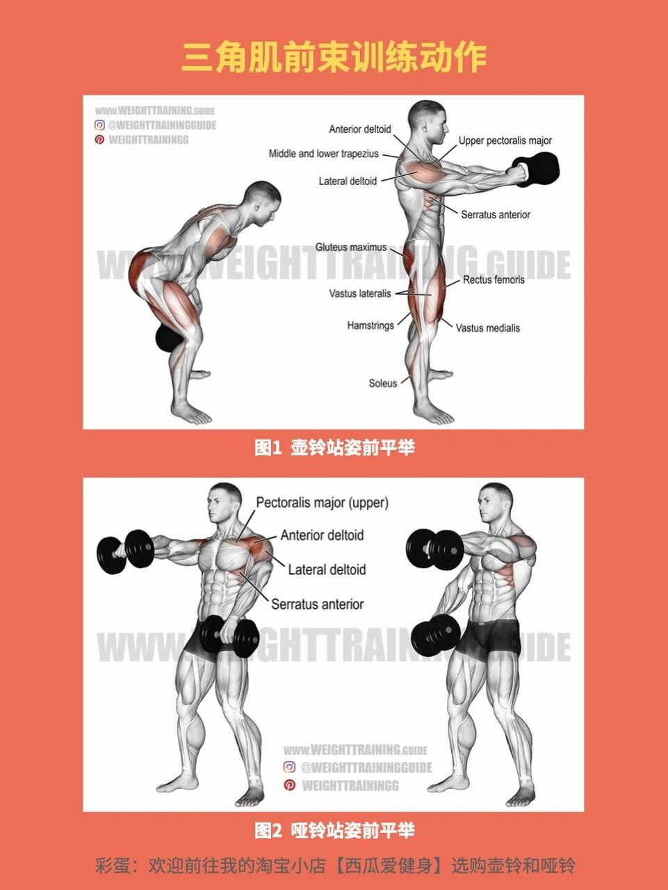 容易忽视的小肌群【三角肌前束】 训练细节讲解 	 16615由于三角
