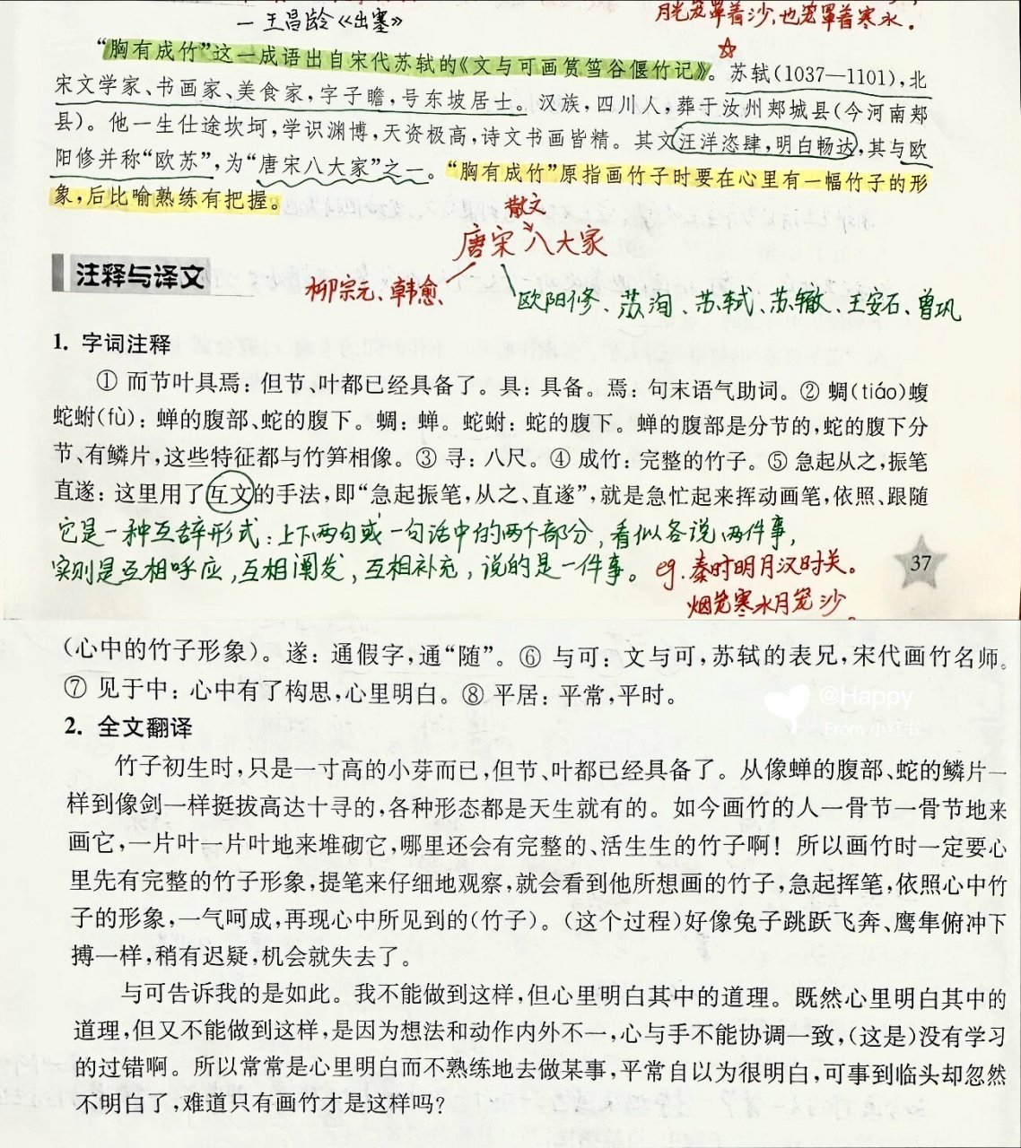 胸有成竹文言文原文图片