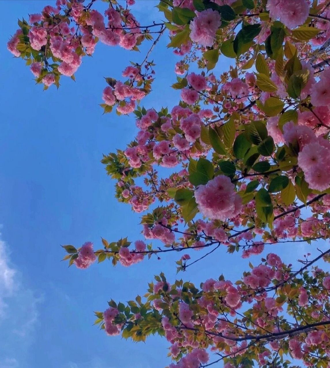 食伤女,或食伤制官杀女,有种让男人欲罢不能,又爱又恨的魅力,即使自己