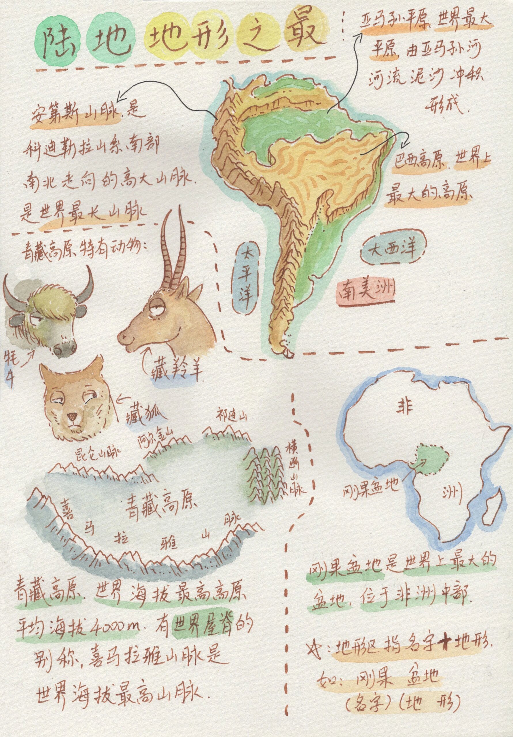 七上地理笔记 海拔地势与地形