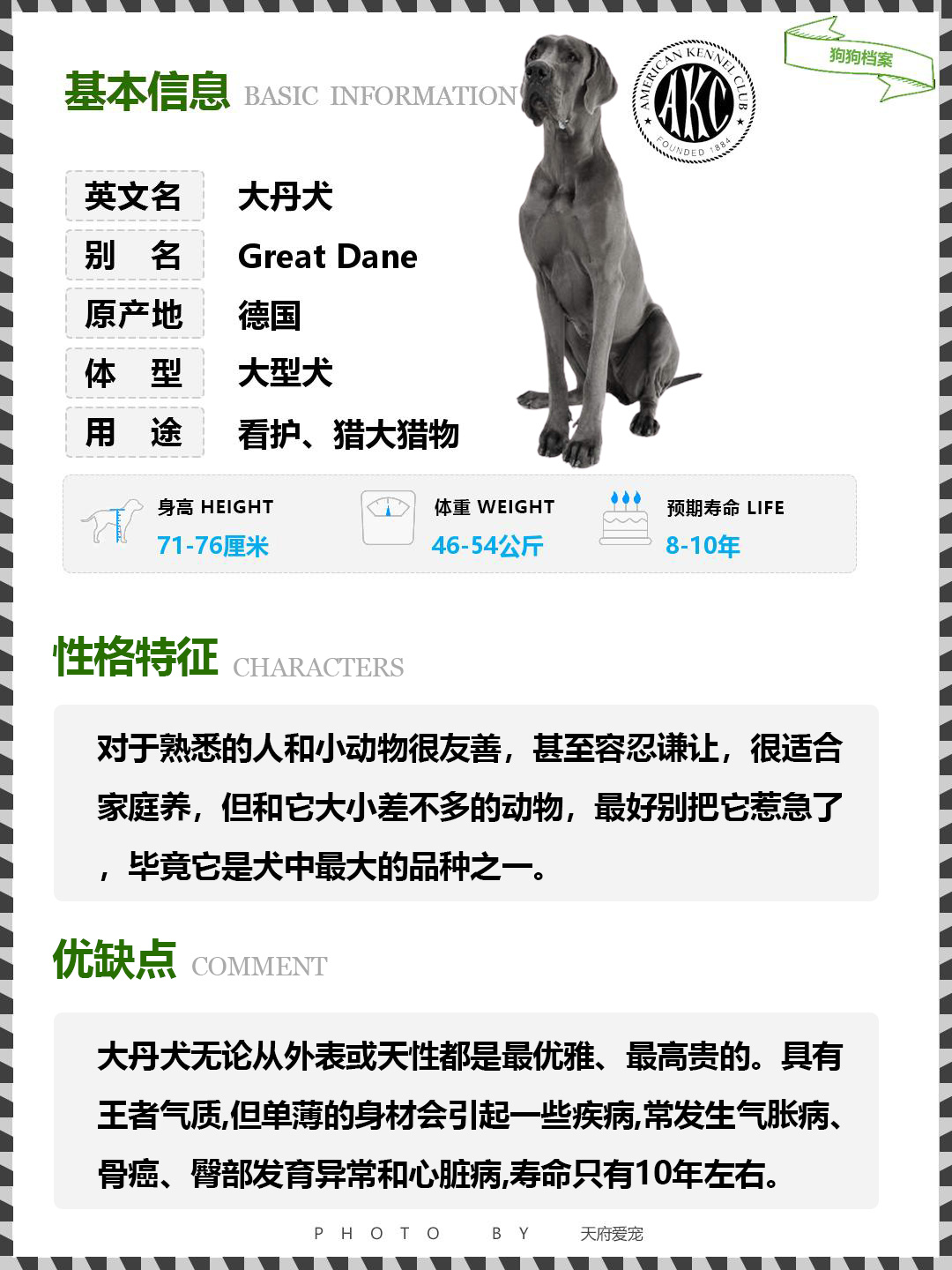 n.012世界名犬|大丹犬 伯尔尼山犬图鉴