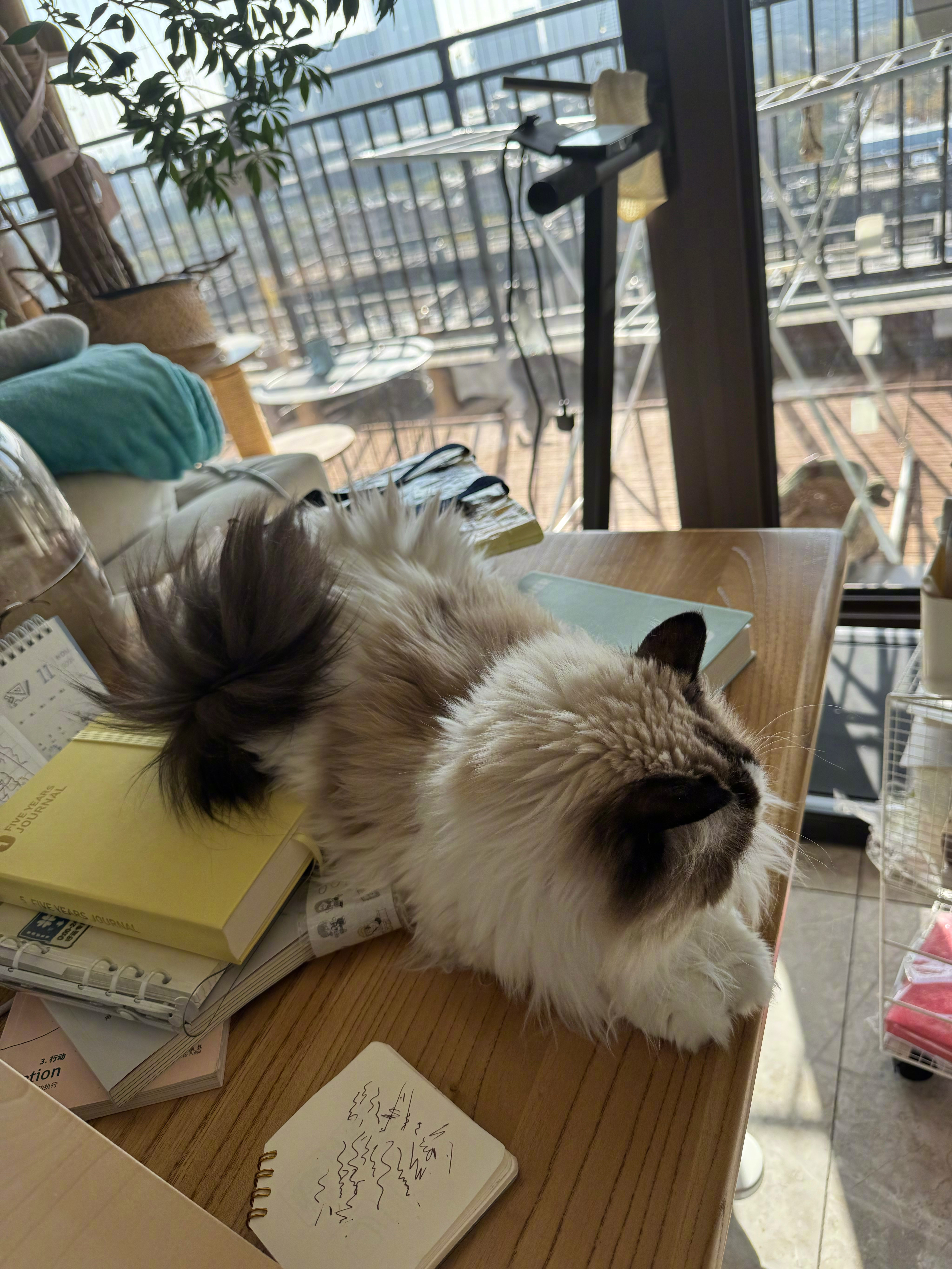 因为真的很充实很幸福