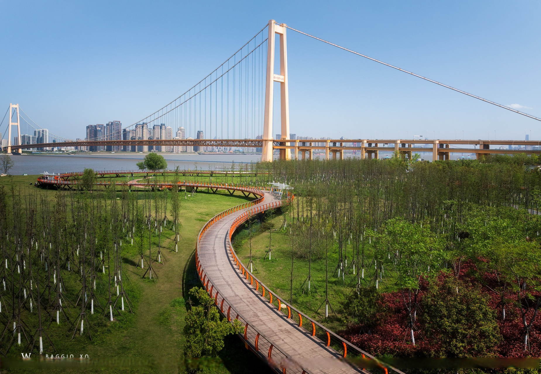 武汉洪山江滩,杨泗港长江大桥  拍了拍武汉春天武汉城市漫游计划(via