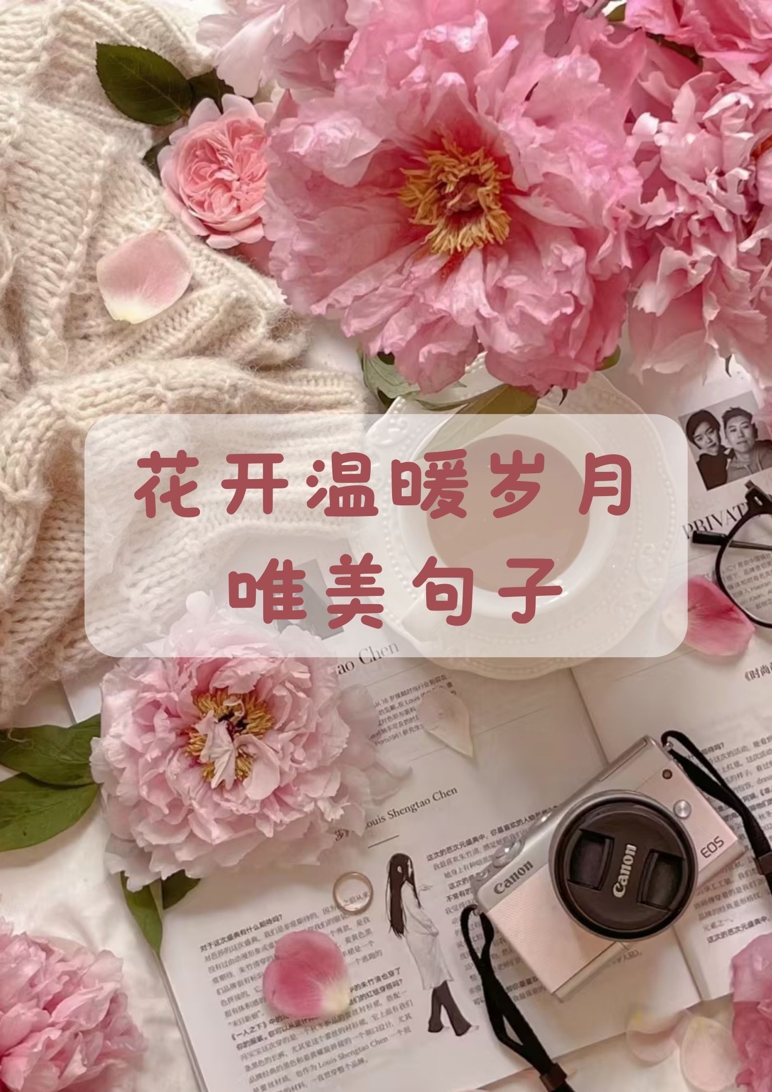 唯美句子阳光图片