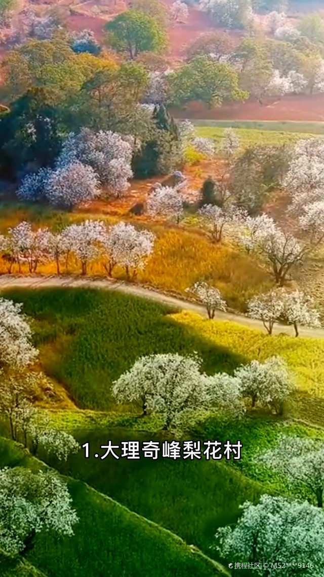 大理鹤庆奇峰梨花村图片