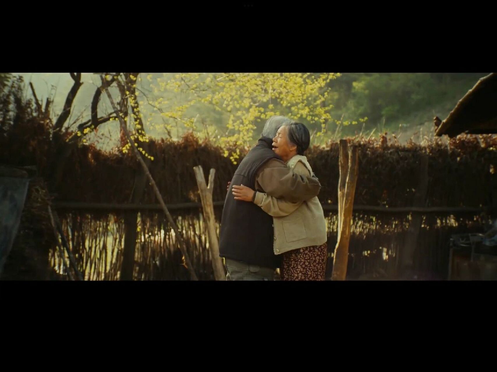 韩国电影我爱你 这部电影是两对老人的爱情,最让人感动的就是一直执手