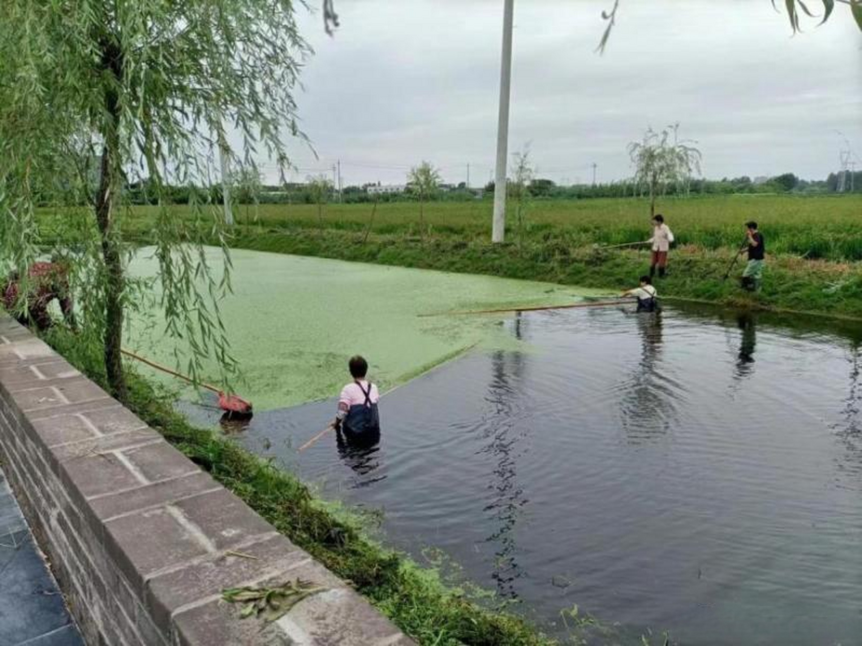 江都区乡镇图片