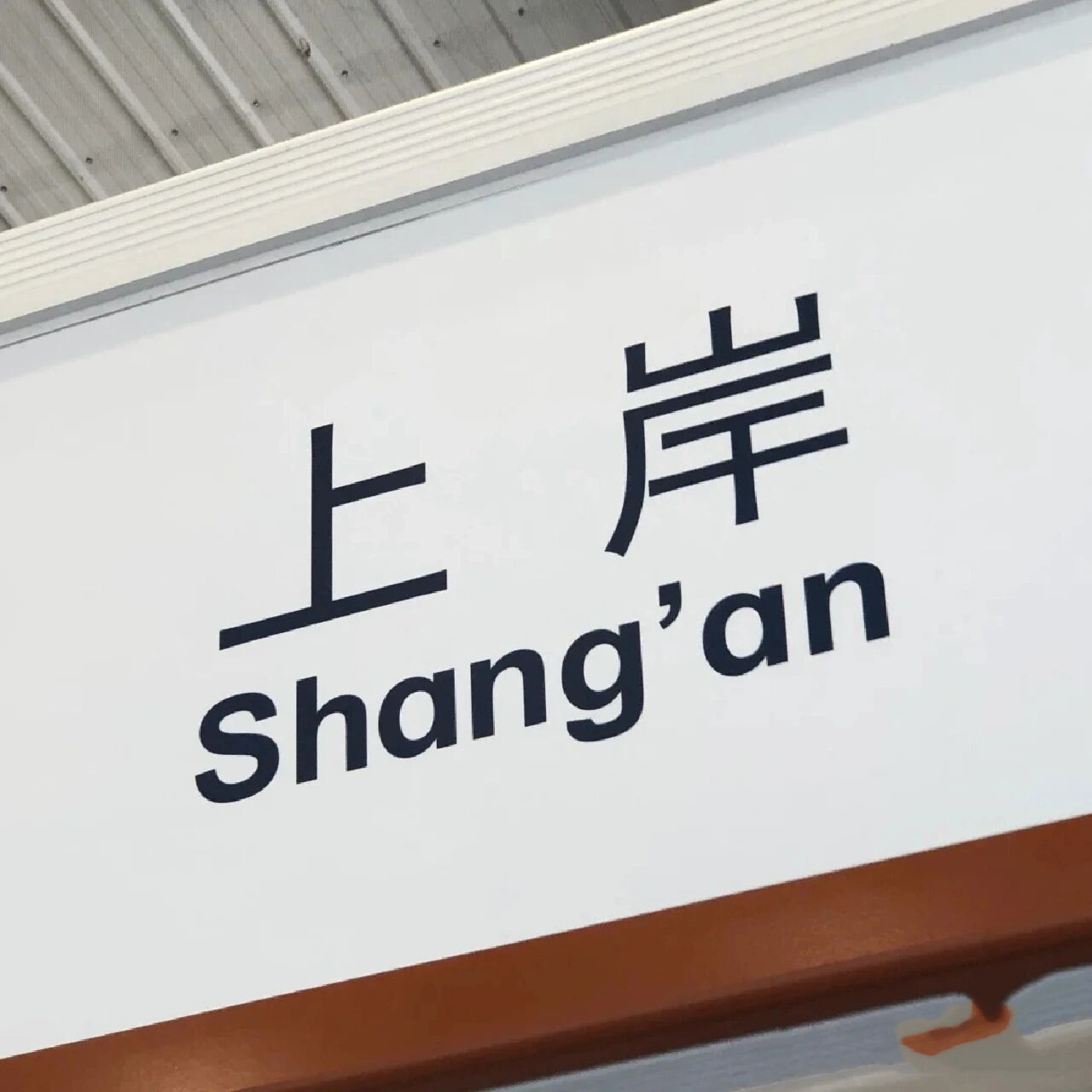 专升本上岸真的不难(一个月上岸版) 94昨天收到了很多宝子的问题,问