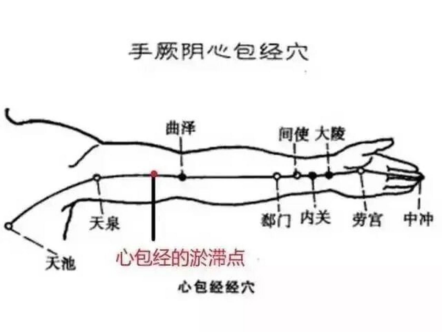 天泉穴 天泉穴 位置: 天泉穴在臂内侧,当腋前纹头下2寸,肱二头肌的长