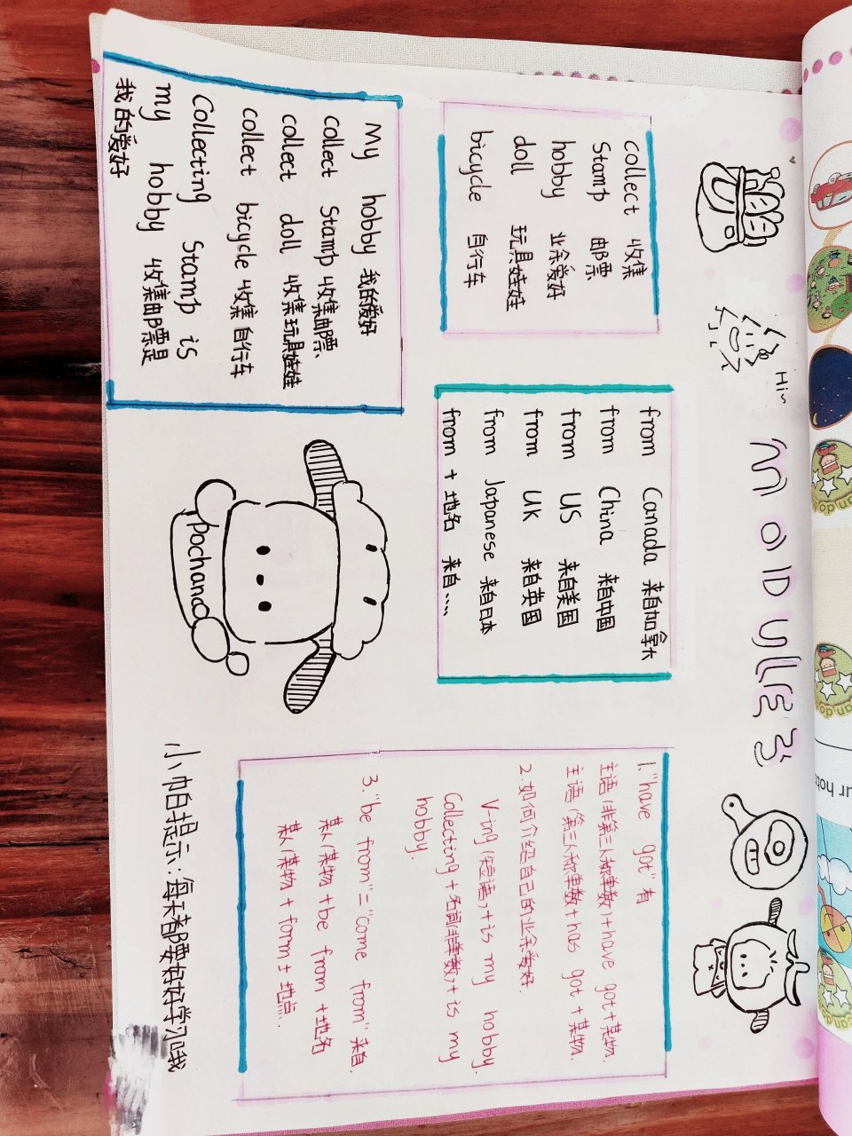 93帕恰狗思维导图六上 帕恰狗思维导图来啦 帕恰狗图案 真的超级q