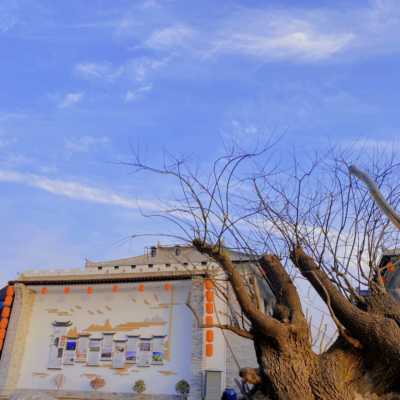 甘肃庆阳市环县 在家的时候太闲了就去溜溜的啦,还挺不错的,老酸奶