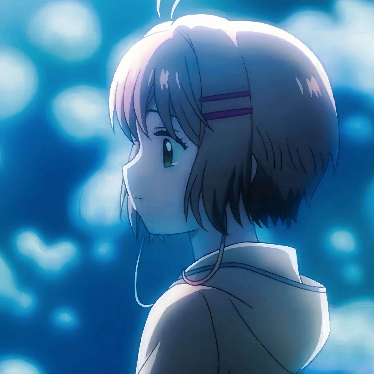 p19|调修|樱狼情头|礼取|禁二转