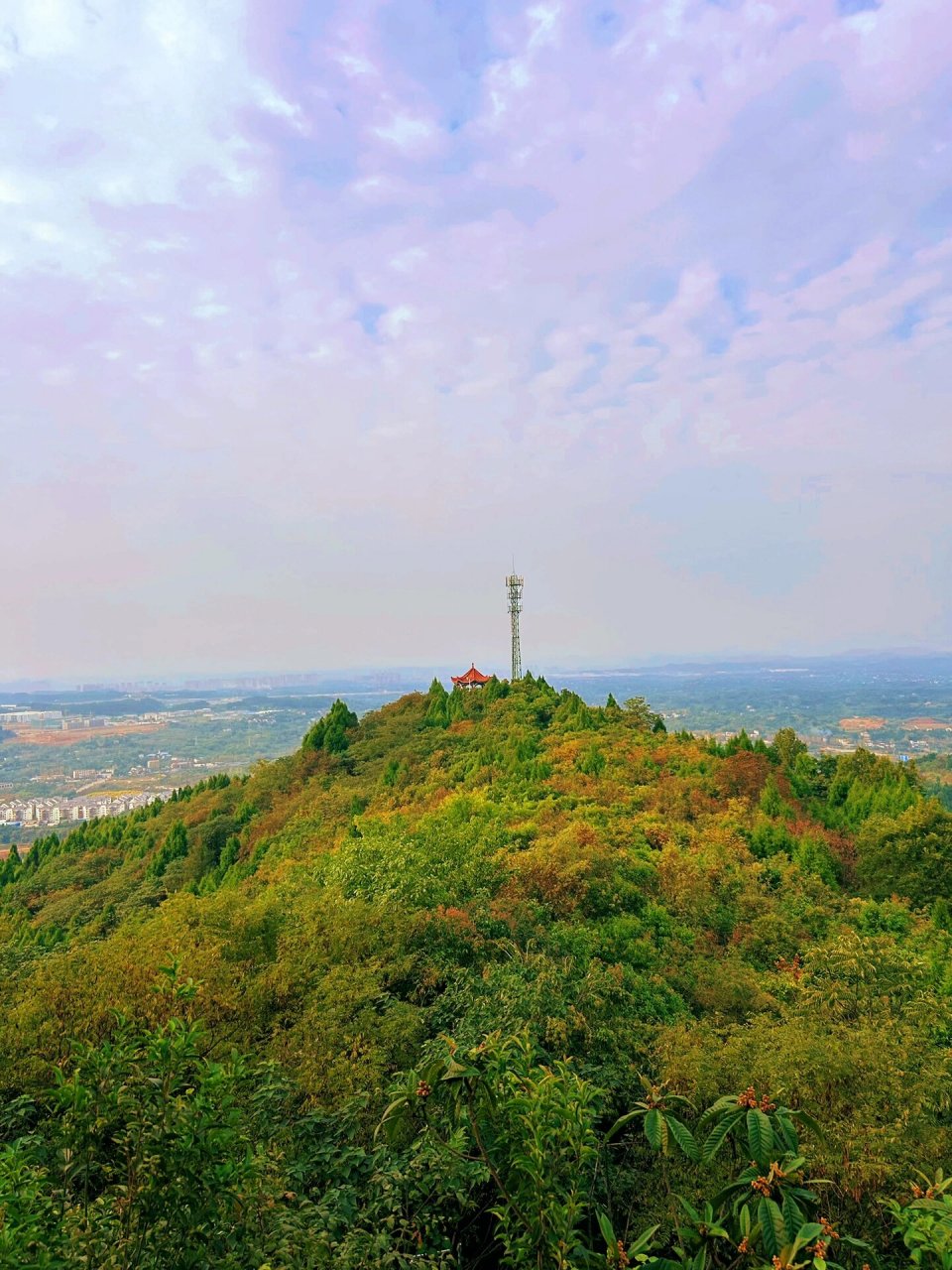 南充秋天打卡地——凌云山风景区 重阳——探秋 	 凌云山风景区,现在