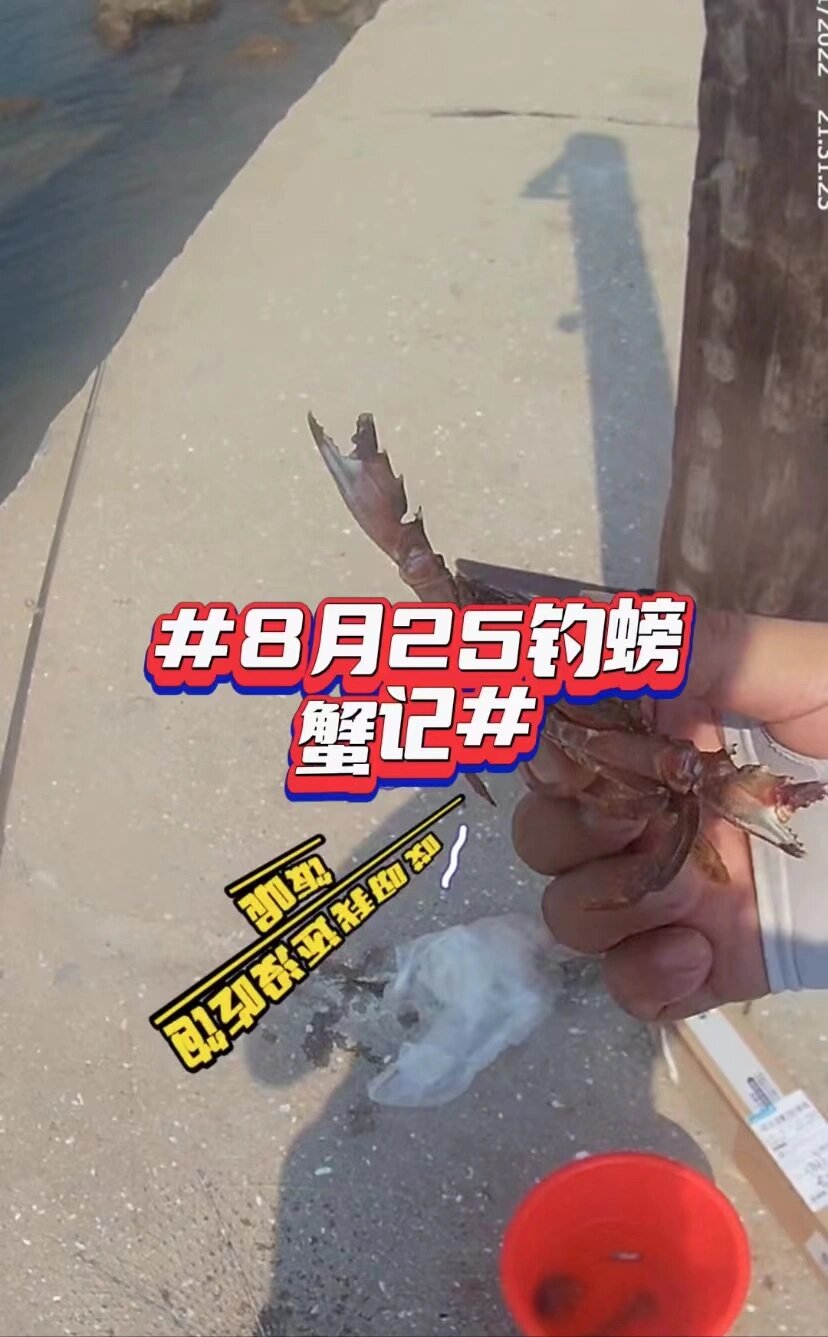 钓螃蟹神器钓螃蟹记