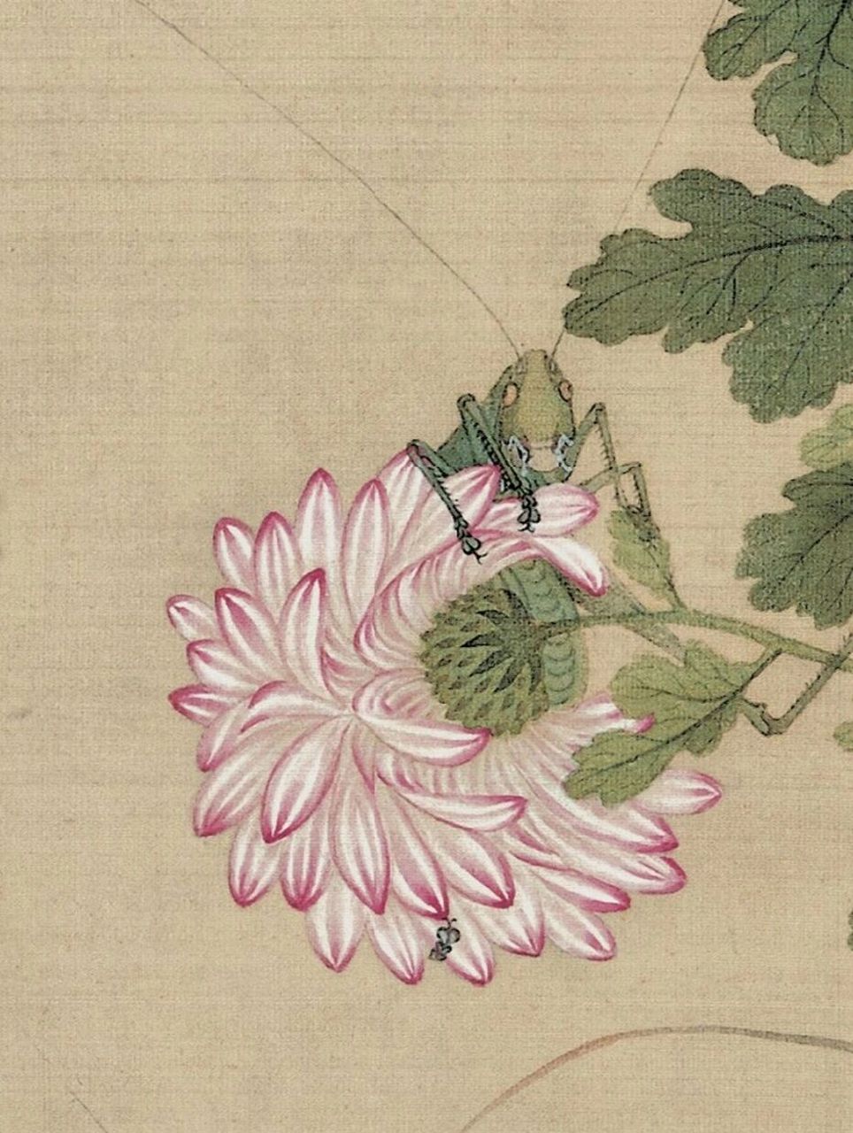 第七十八幅《花鸟图册-3》清(余穉) 《花鸟图》册,共十二开,通过绘有