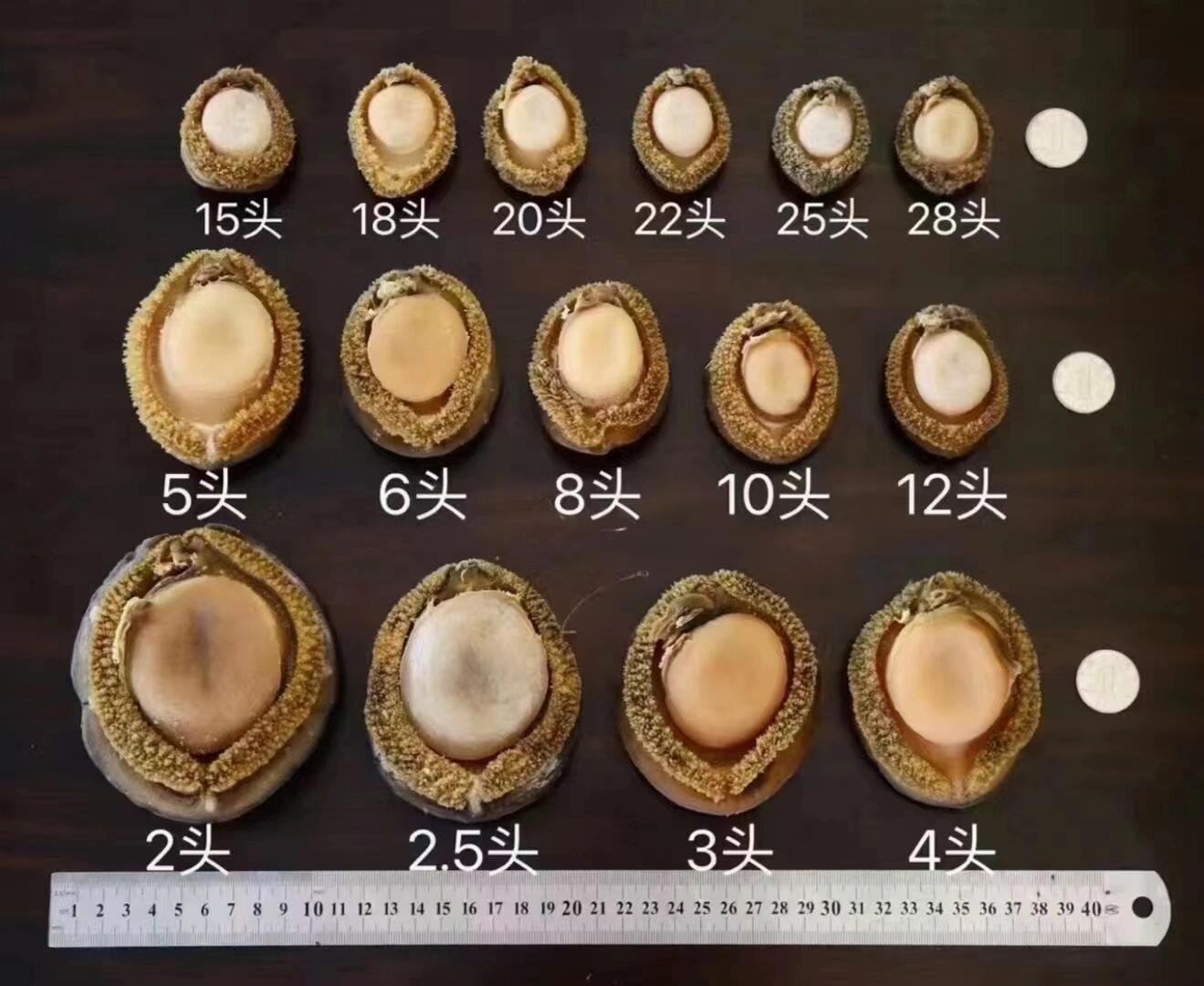 介绍一下鲍鱼大小