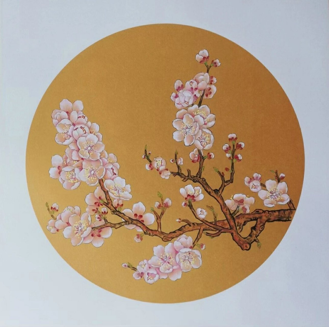 50*50圆形卡纸,国画工笔花鸟 工笔花鸟,小品