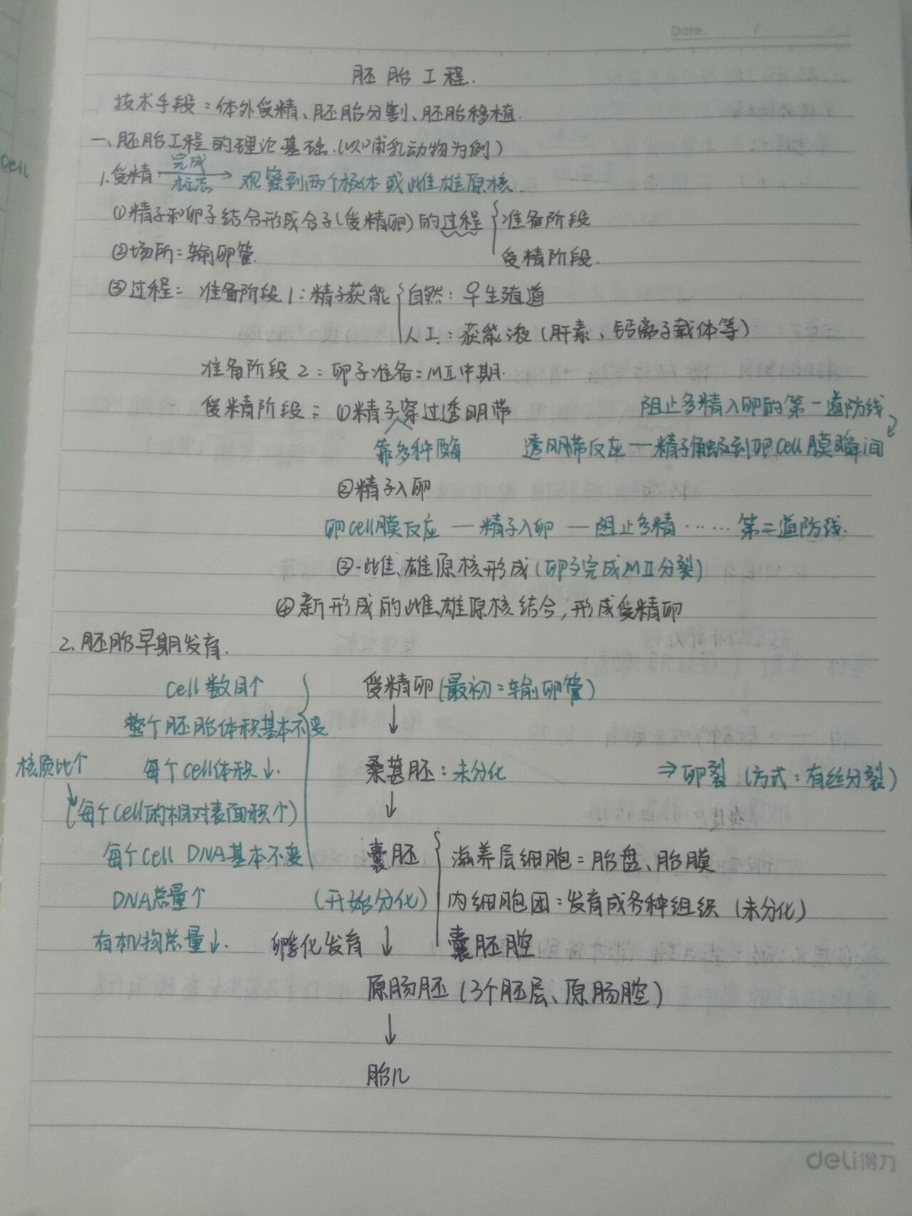 学霸小熊笔记高中生物
  第2张 学霸小熊笔记高中生物
  第2张