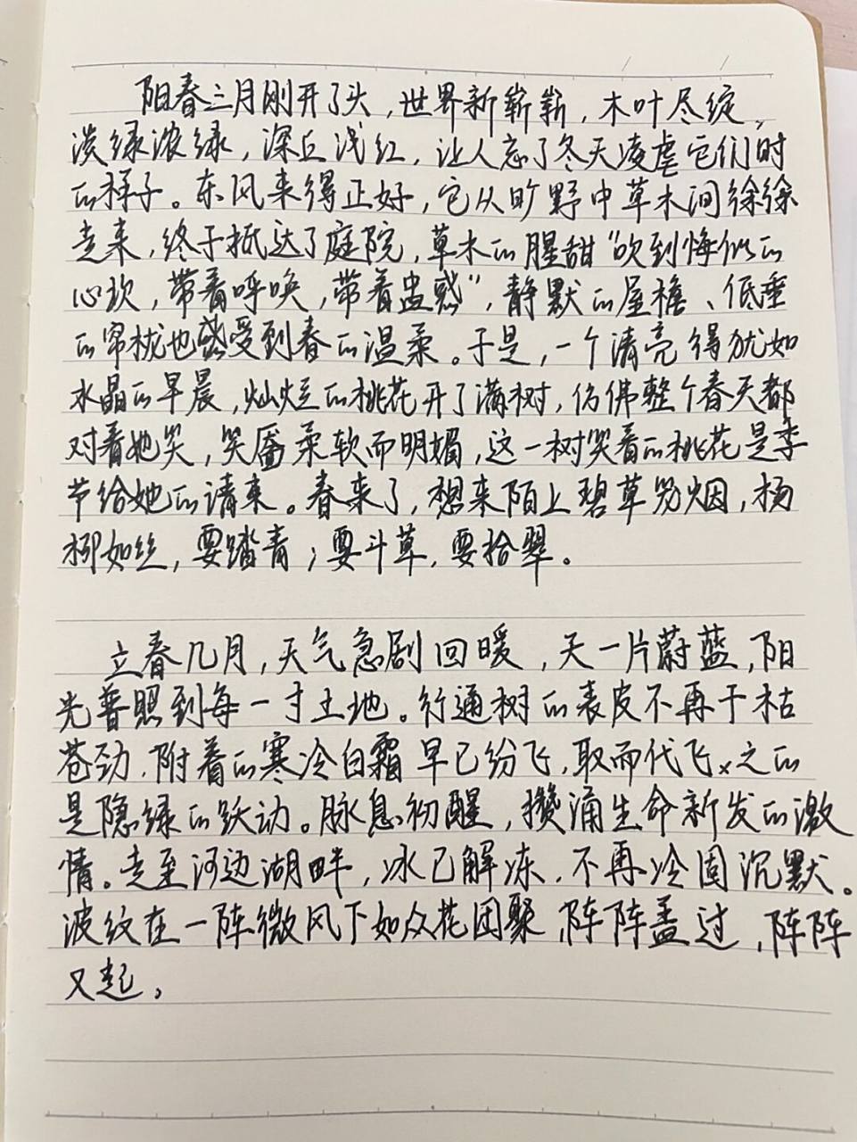 语文老师的摘抄本|春 #作文素材# #摘抄#  #手写摘抄#  #语文#  #教师