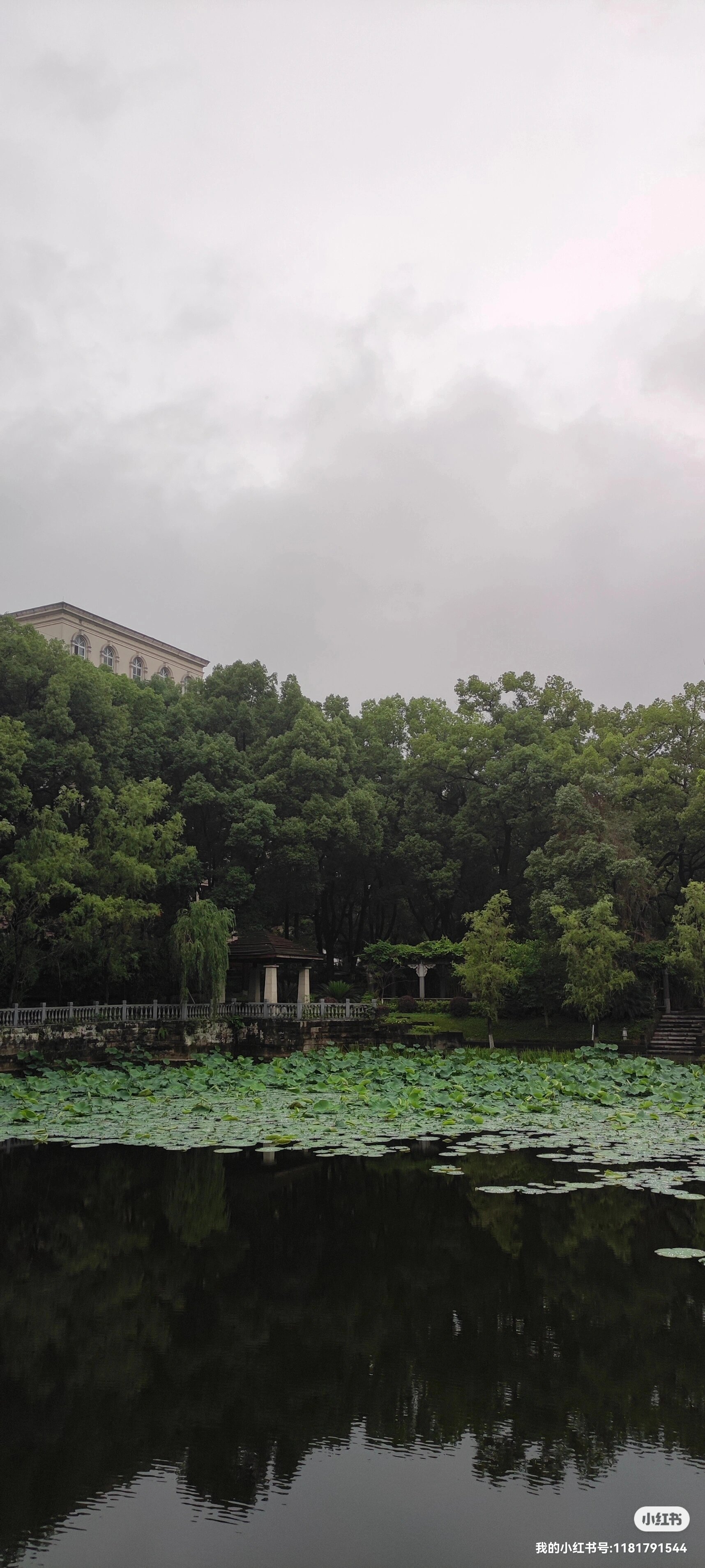 西南大学23级的学弟学妹们快快看过来呀!