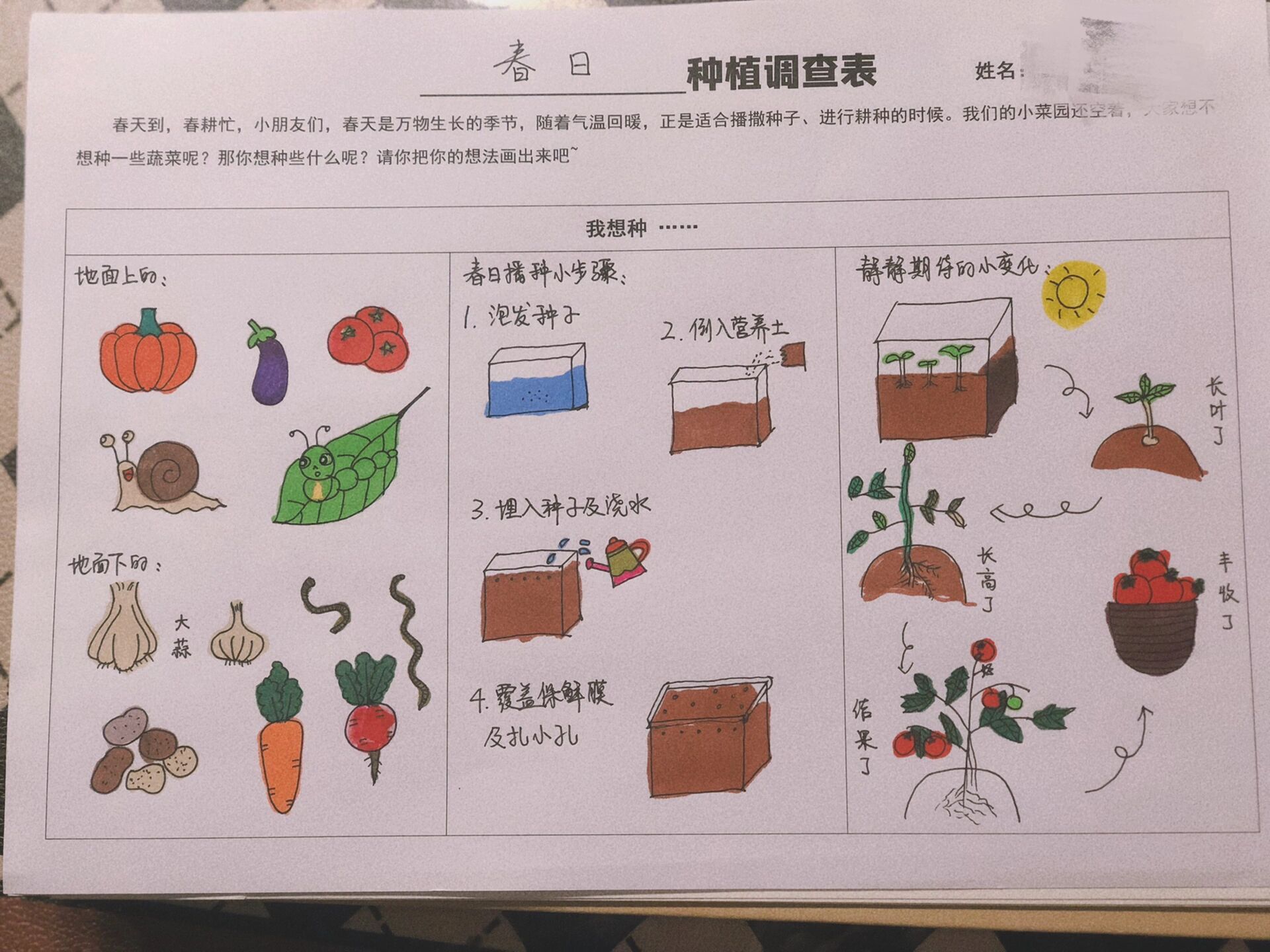 春季种植调查表图片