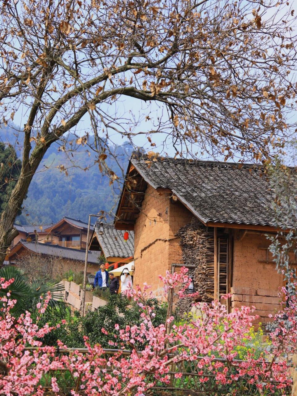 幸福古路村94「被爱情遗忘的角落」拍摄地 幸福古村位于眉山市丹棱