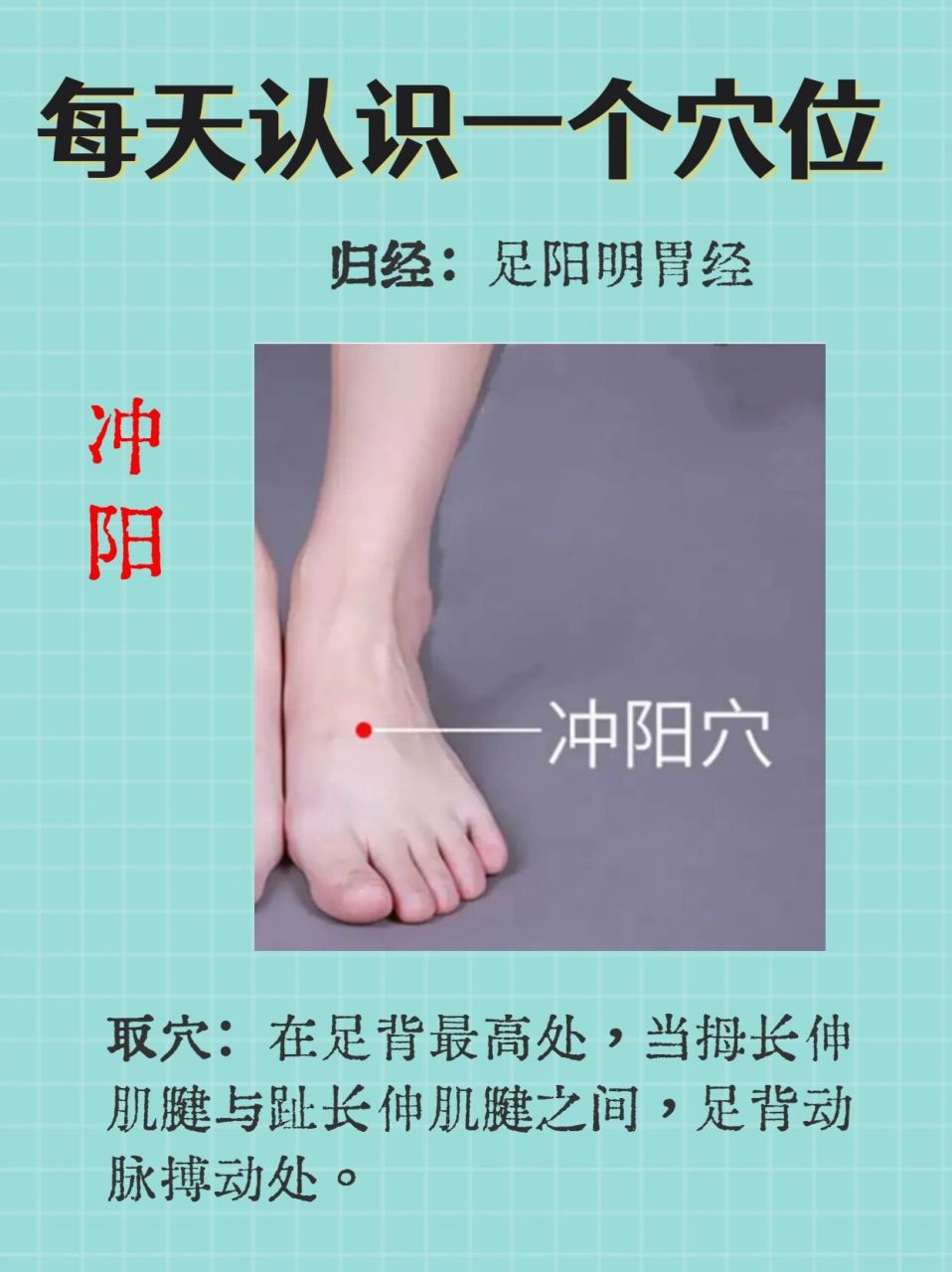每天认识一个穴位-冲阳