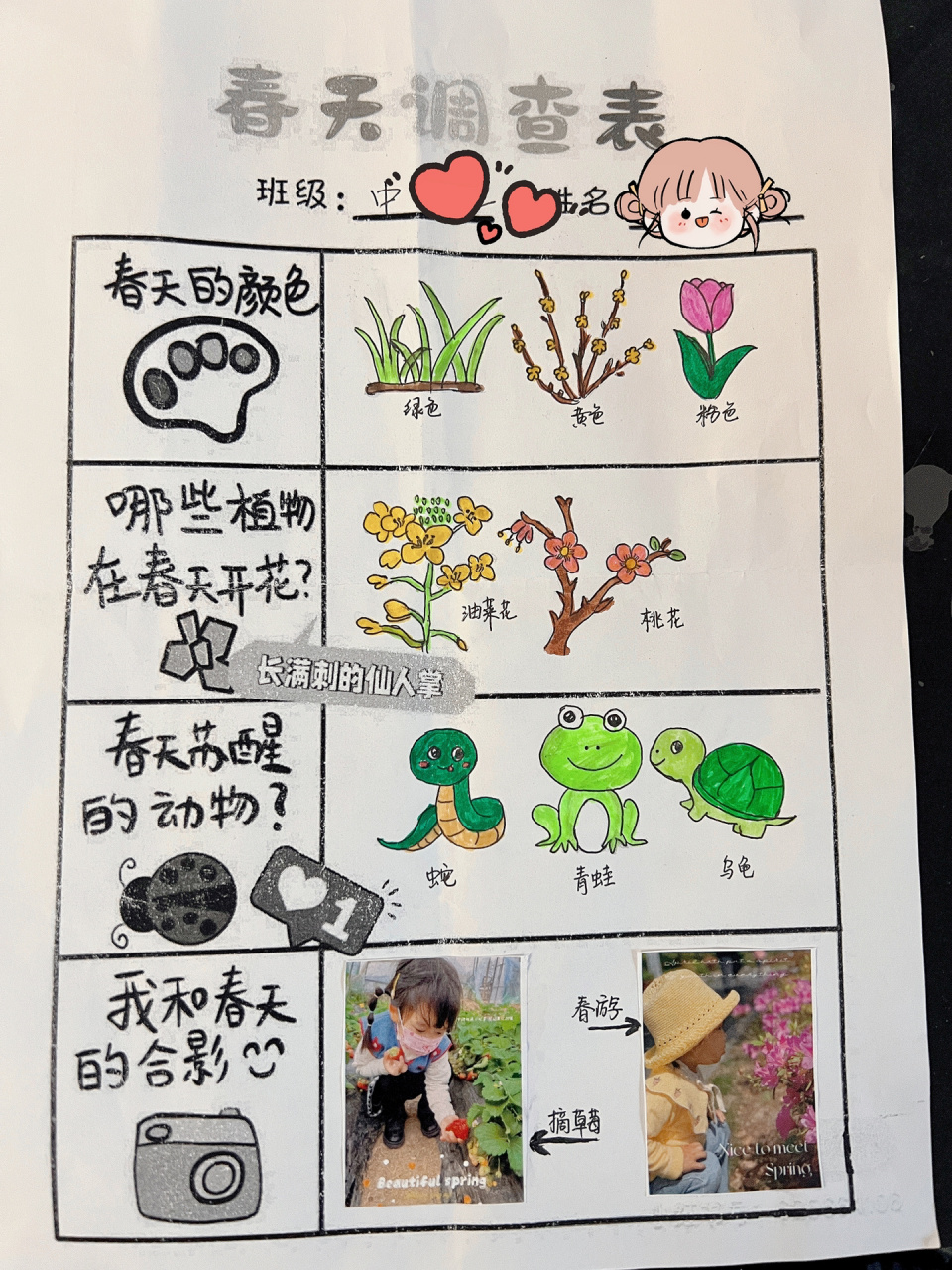幼儿园春天调查表 春天的花,春天的小动物,春天的颜色