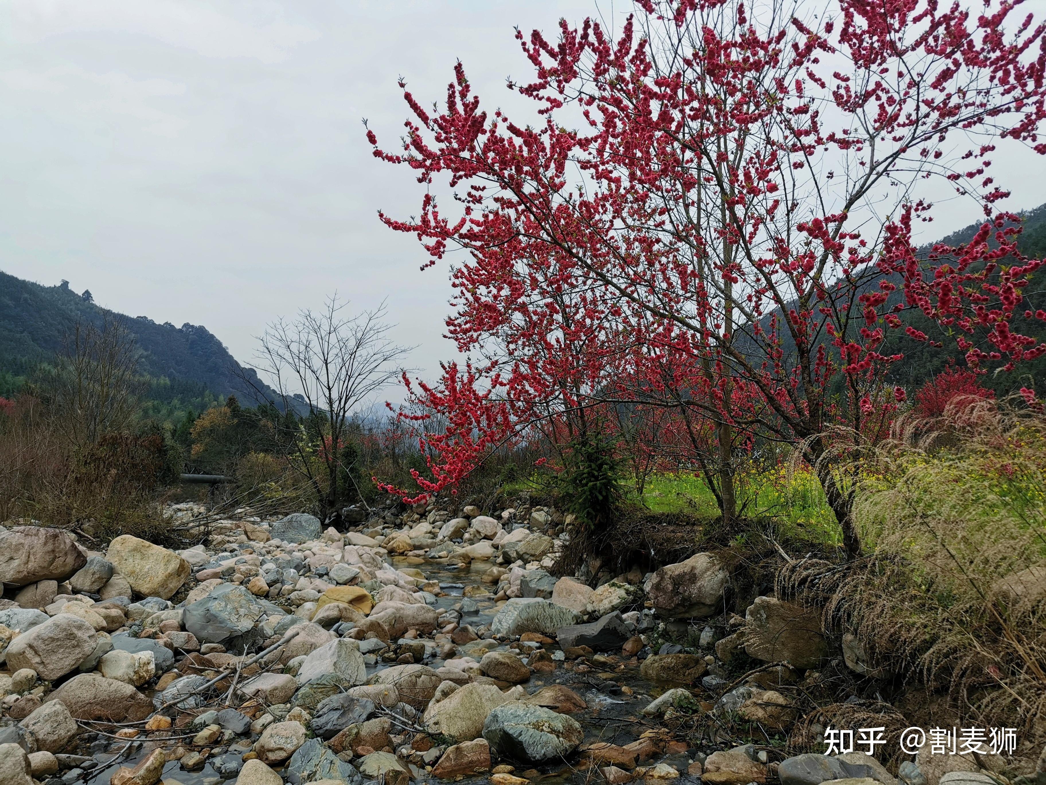 乐昌市九峰山景区图片