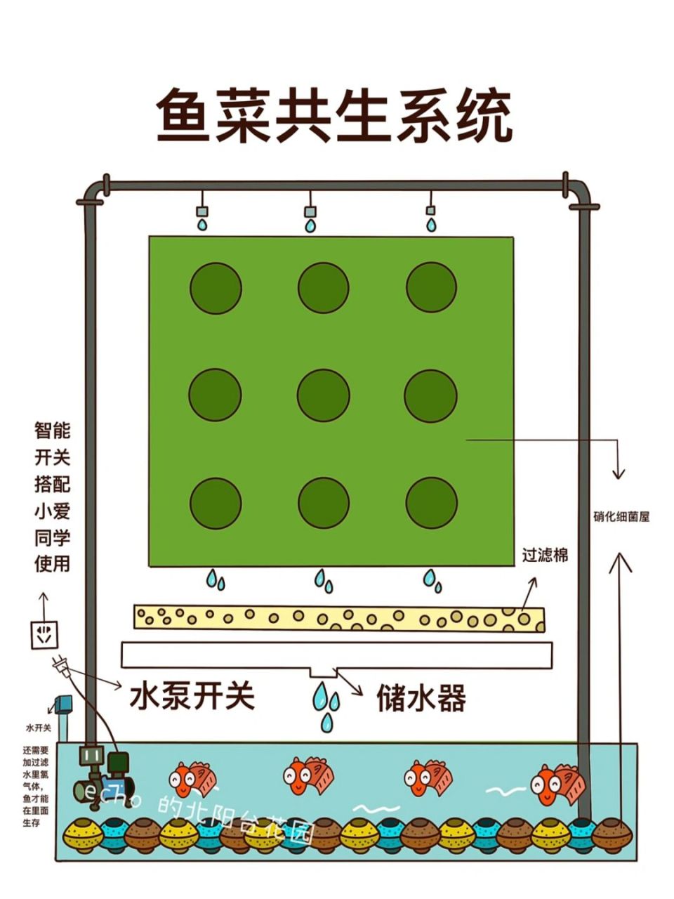 鱼菜共生系统成本图片