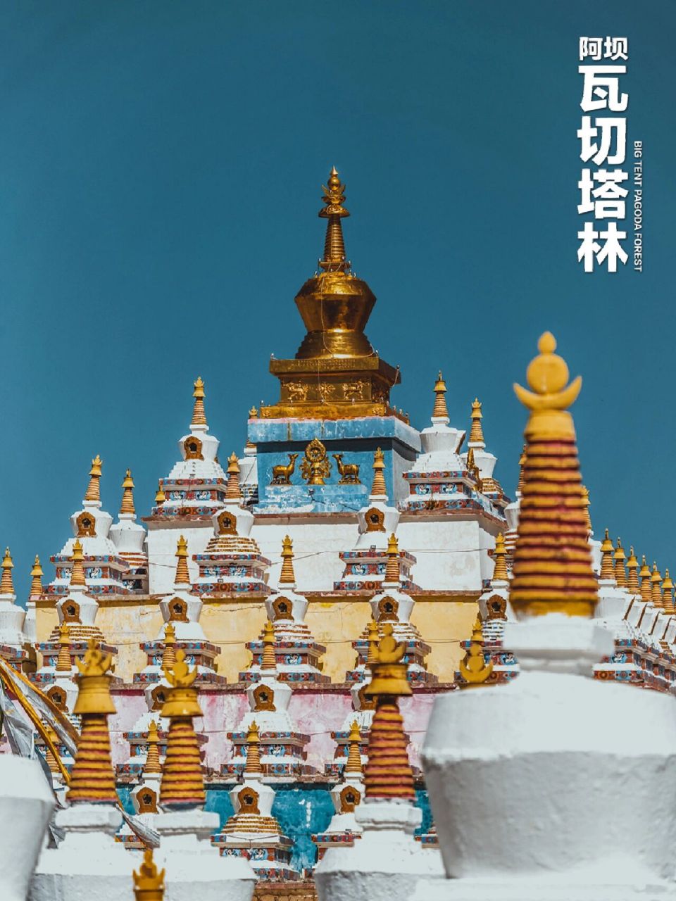 四川阿坝红原小众目的地|瓦切塔林  红原瓦切塔林,共有多少座塔,没有