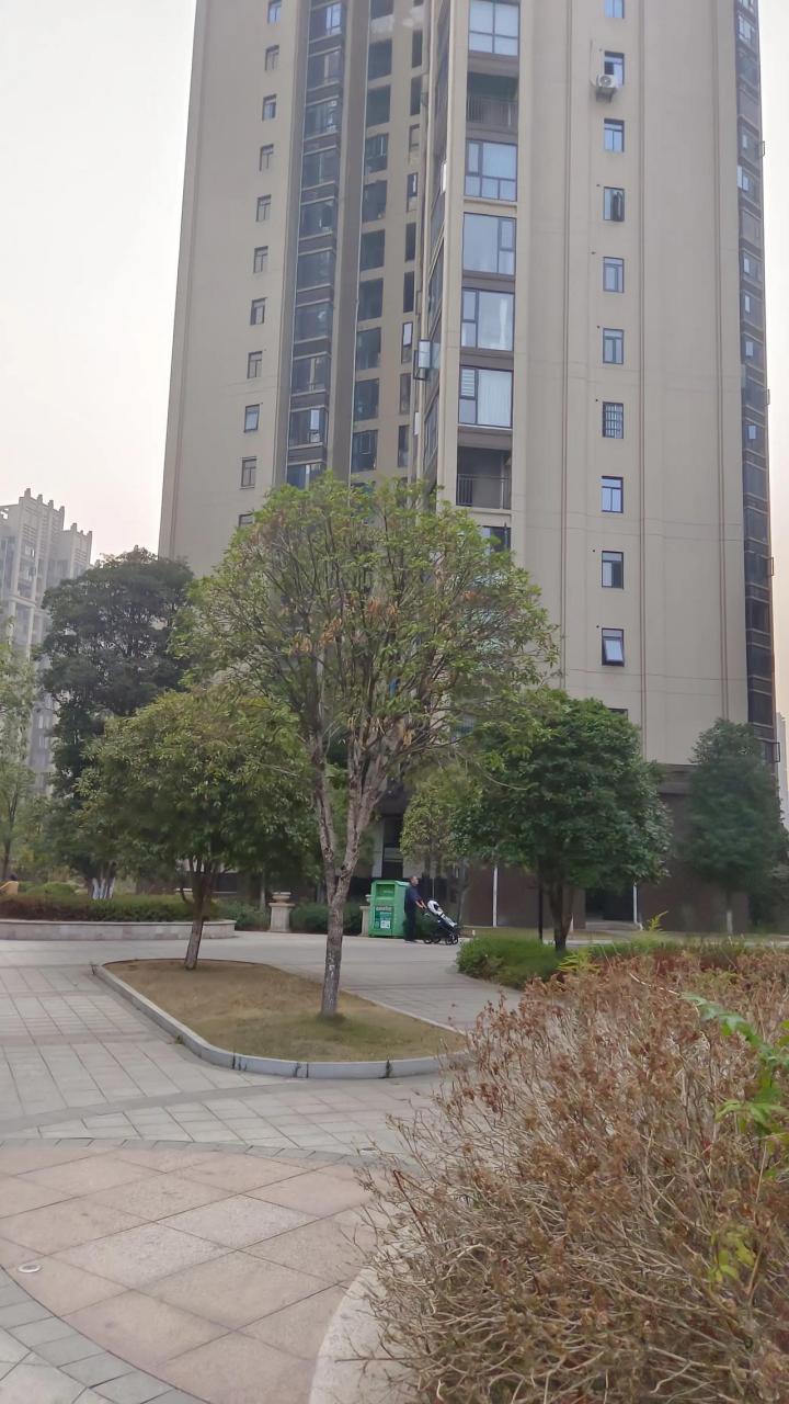 湘潭头条 天元美居乐大小区也算是小桥流水啦!这样的环境您喜欢吗?