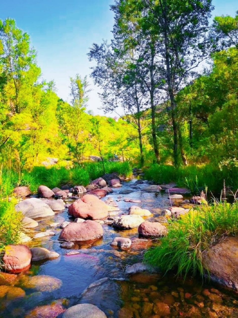 京北延庆避暑胜地-翠鸟谷 翠鸟谷,又名清泉谷,位于北京延庆最北部,是