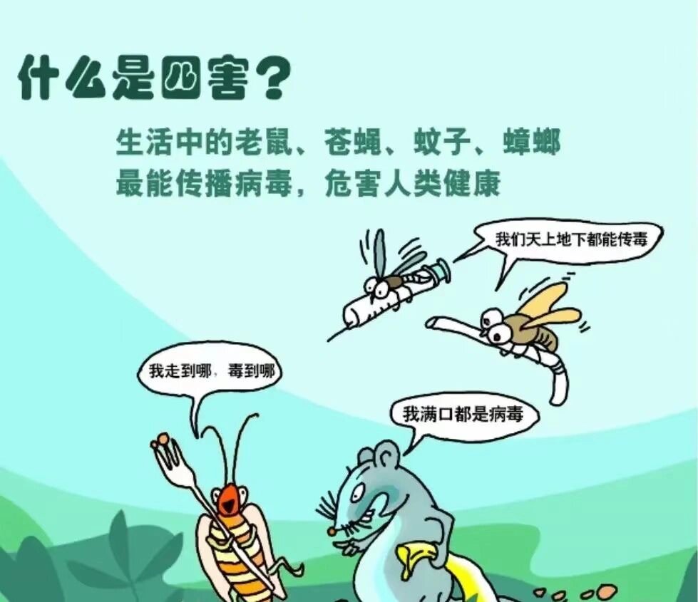 什么是四害?