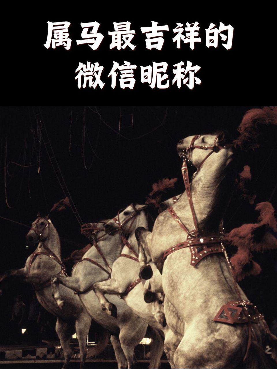 属马最吉祥的微信昵称 98 马踏飞燕 95 策马奔腾 99 马到成功