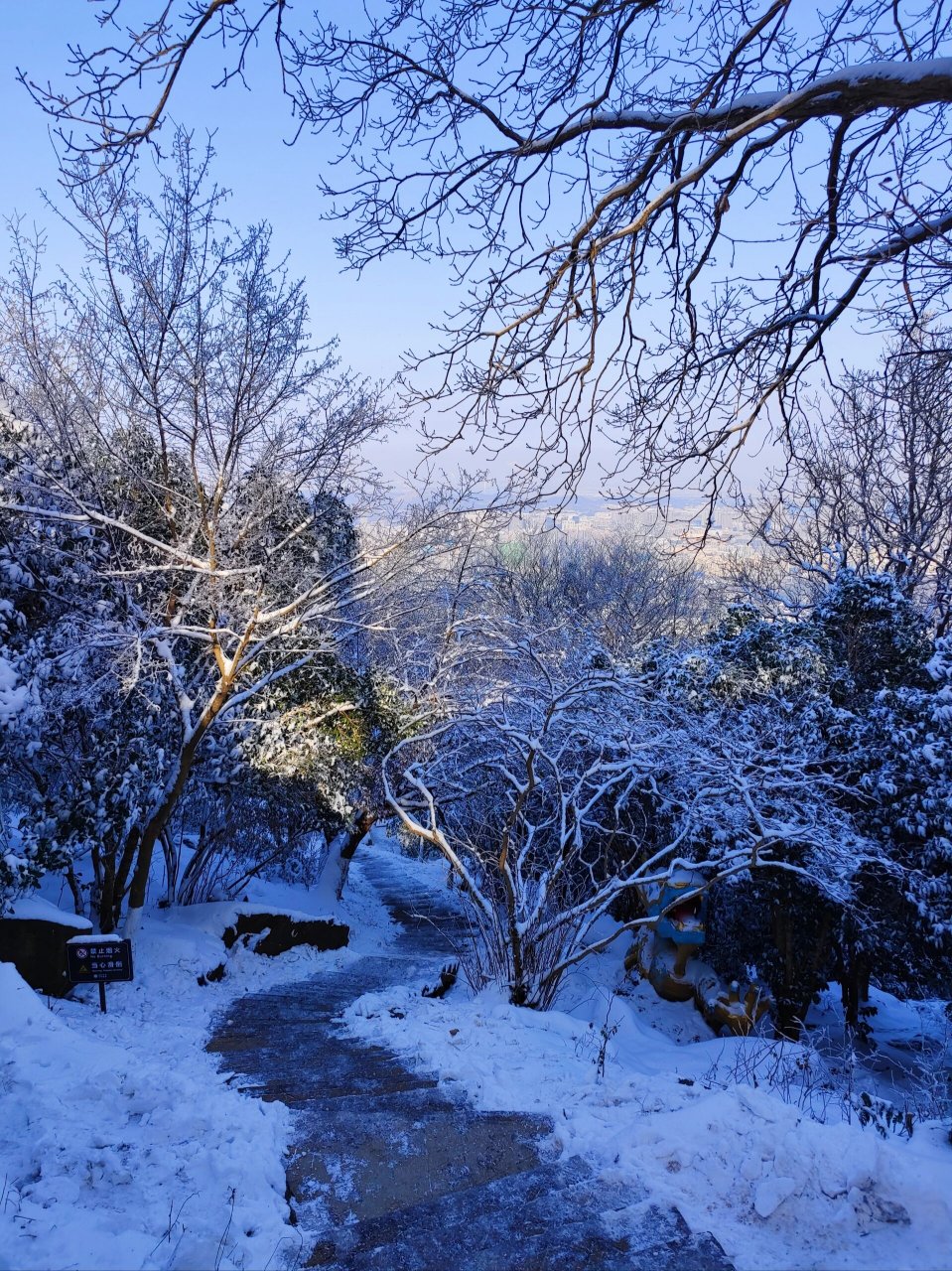 南京雪景紫金山图片