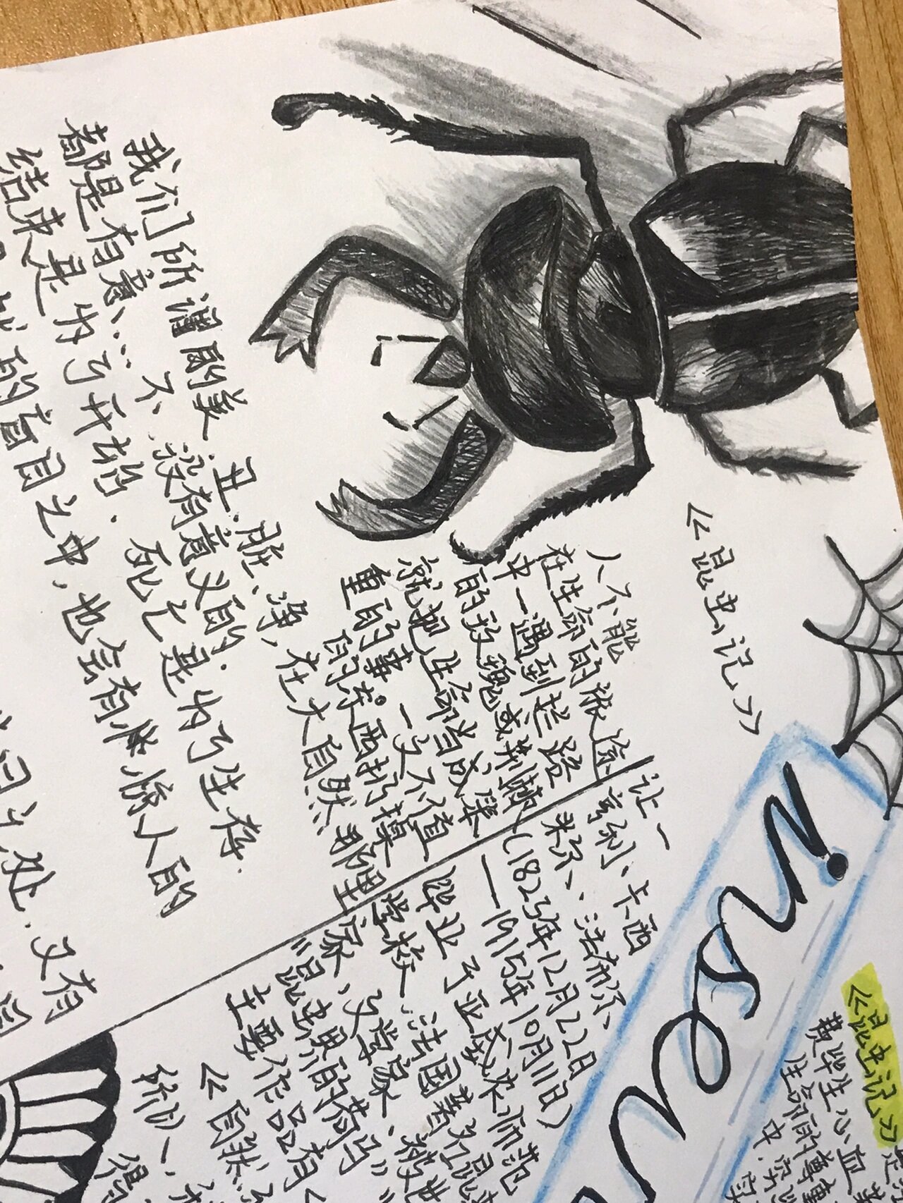 《昆虫记》手抄报八年级初二高清 可以模仿但是不能全抄,要有自己的