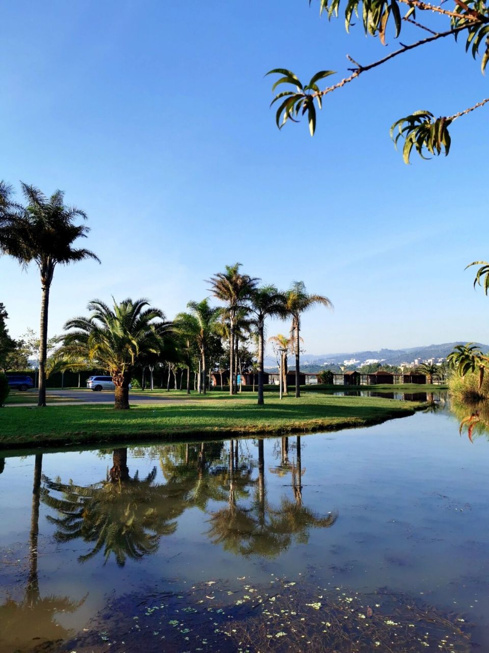 弥勒·湖泉生态园 湖泉生态园浩阔的人工湖,碧波荡漾,野鸭在嬉戏,黑