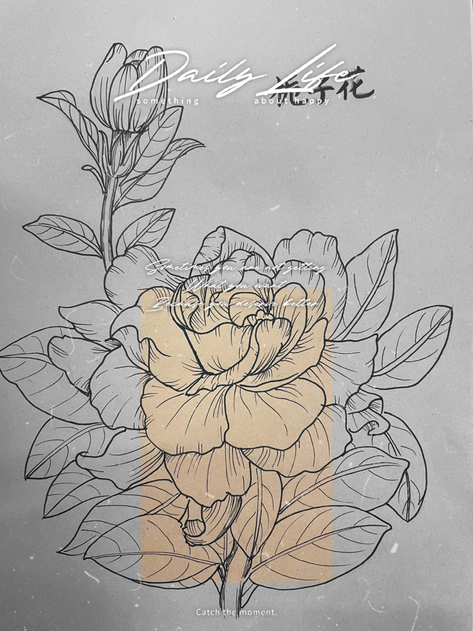 栀子花开    "栀子花开呀开,栀子花开呀开,像晶莹的浪花,盛开在我的心