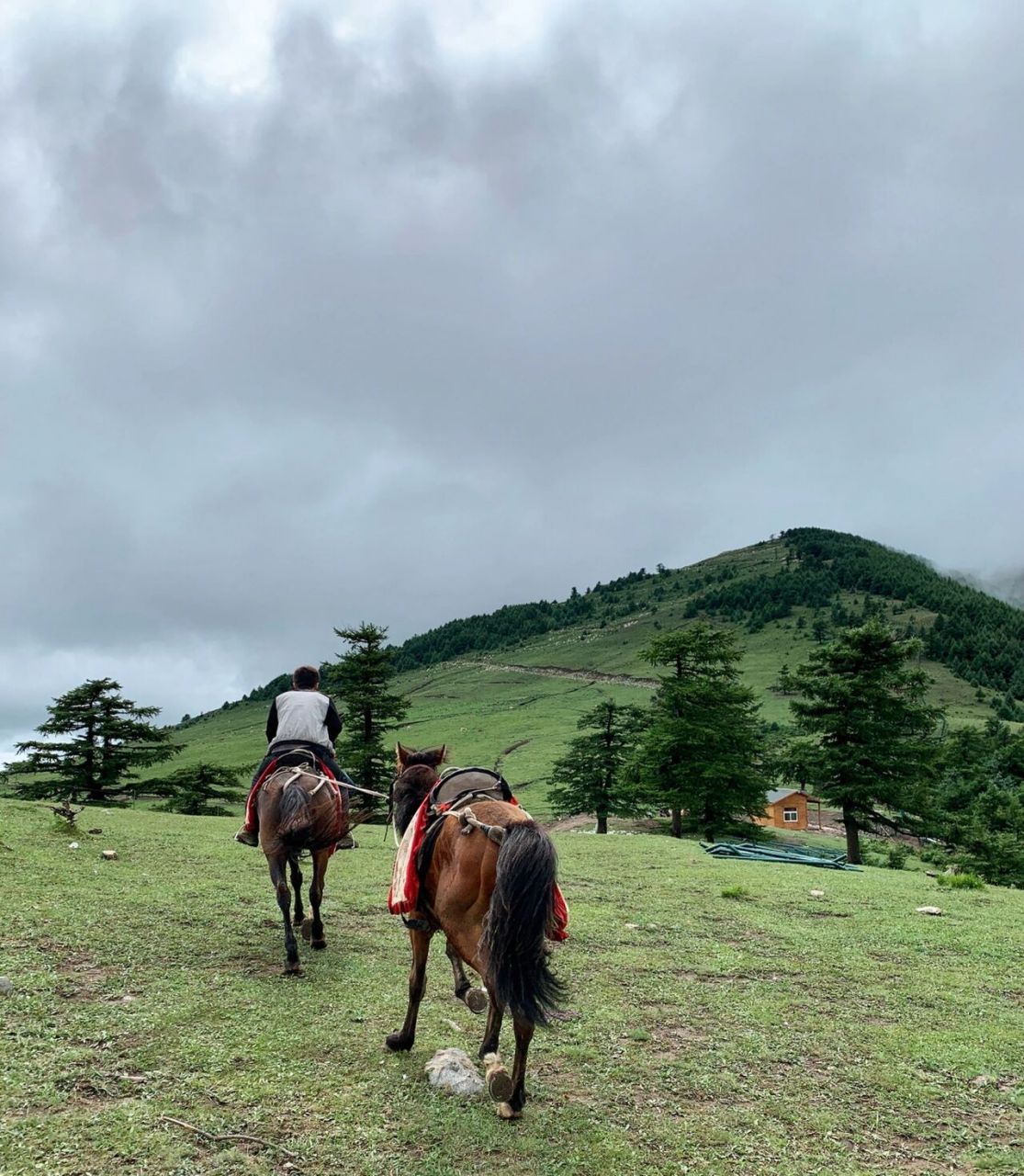 打卡太原市婁煩縣雲頂山 在離太原100公里左右的地方有一個神仙寶藏地