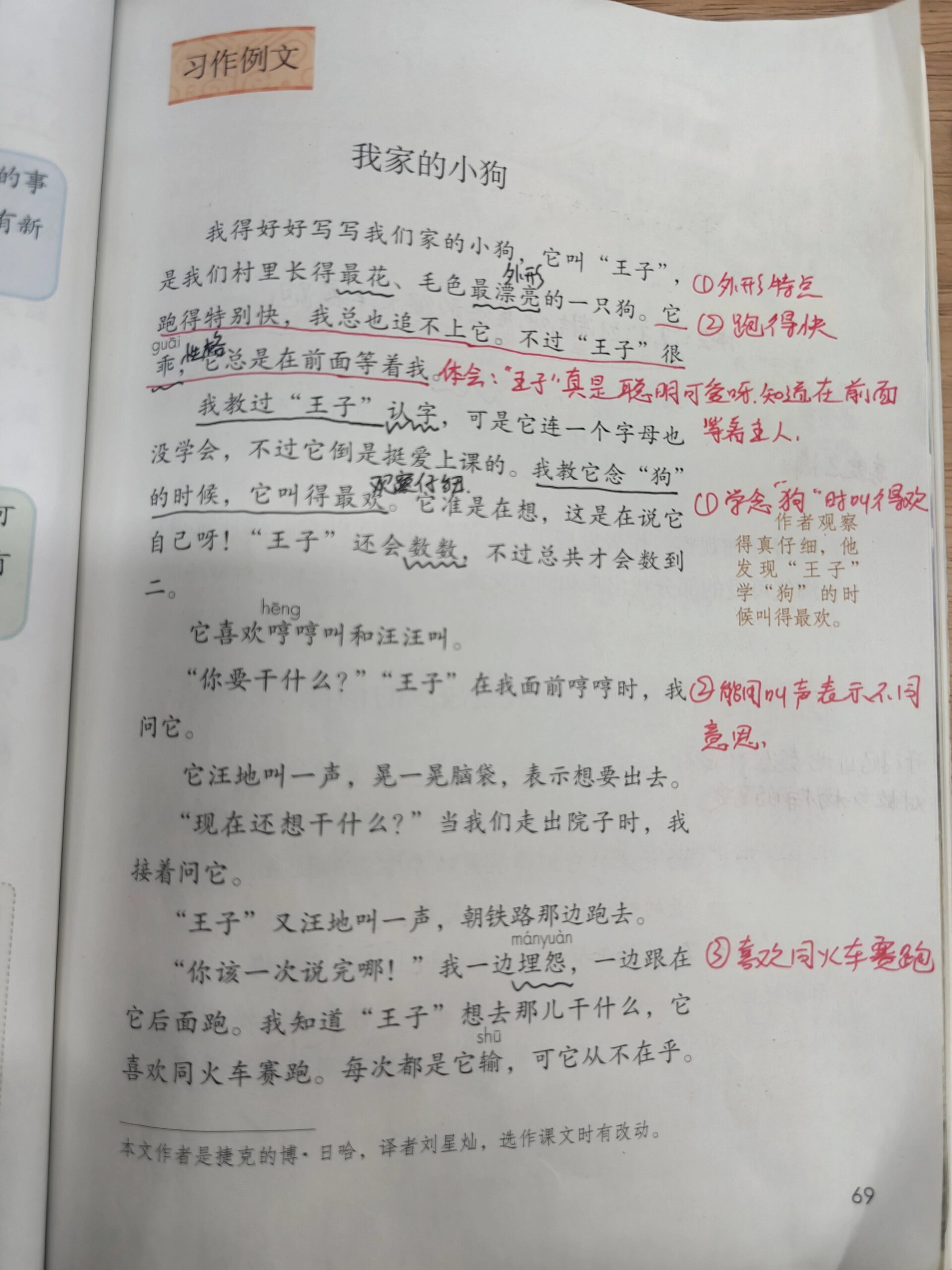 我的狗西尔阿尔丁原文图片