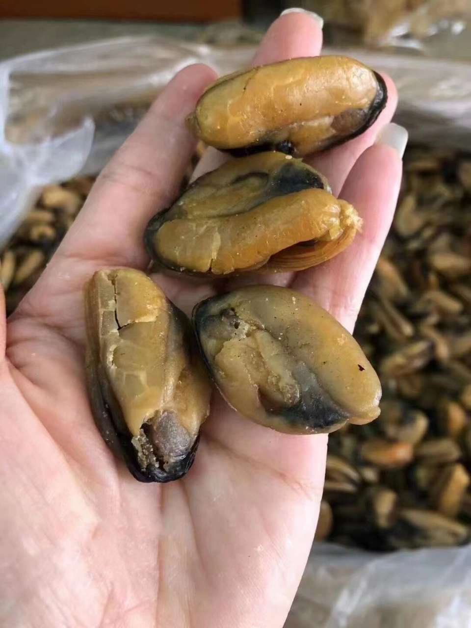 大淡菜 淡菜,又名贻贝,海红,海夫人,主要有条纹贻贝,紫贻贝和厚壳贻贝