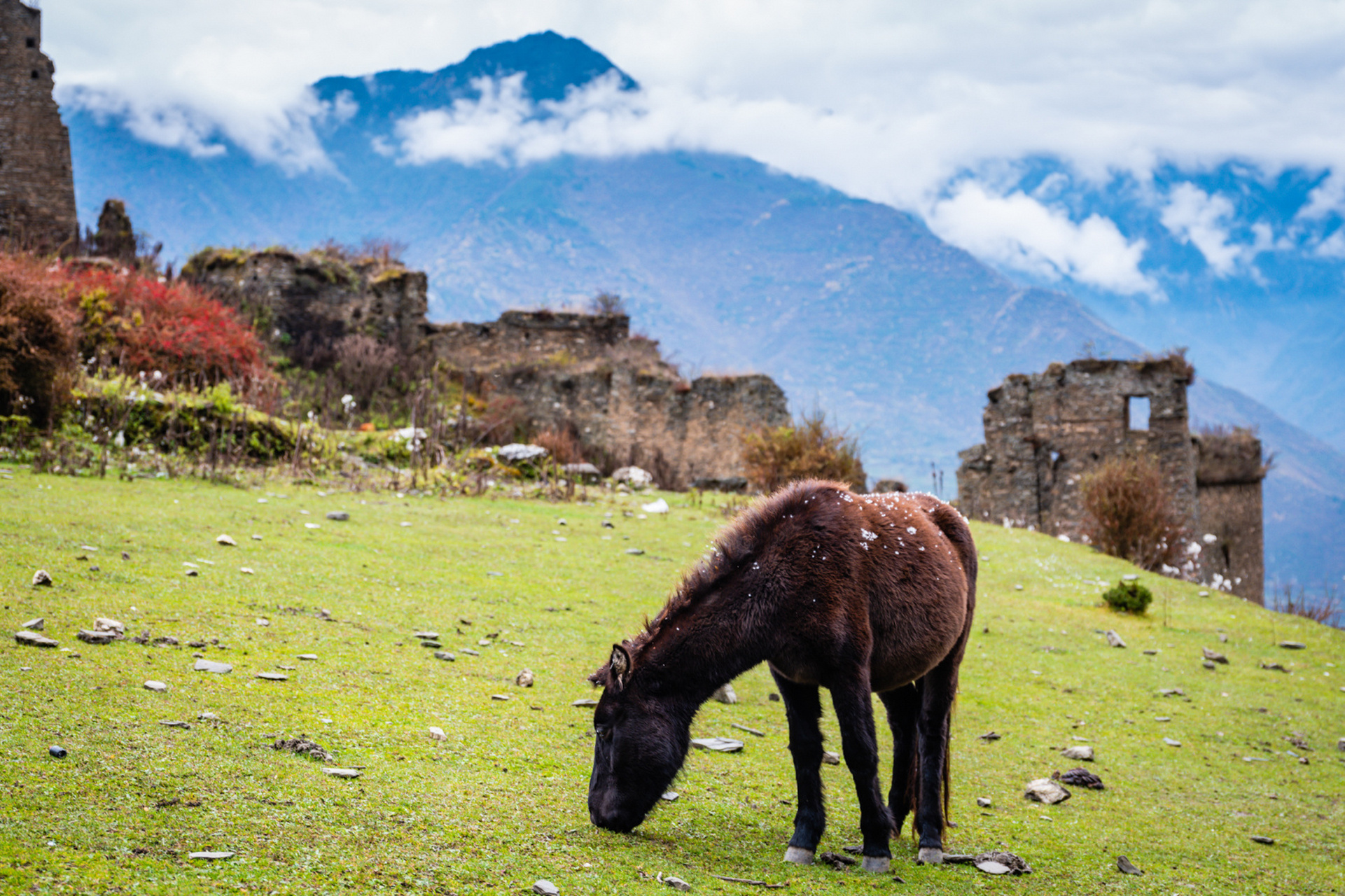 九子寨-四川的马丘比丘 九子寨位于阿坝州理县木卡乡,2600米的海拔