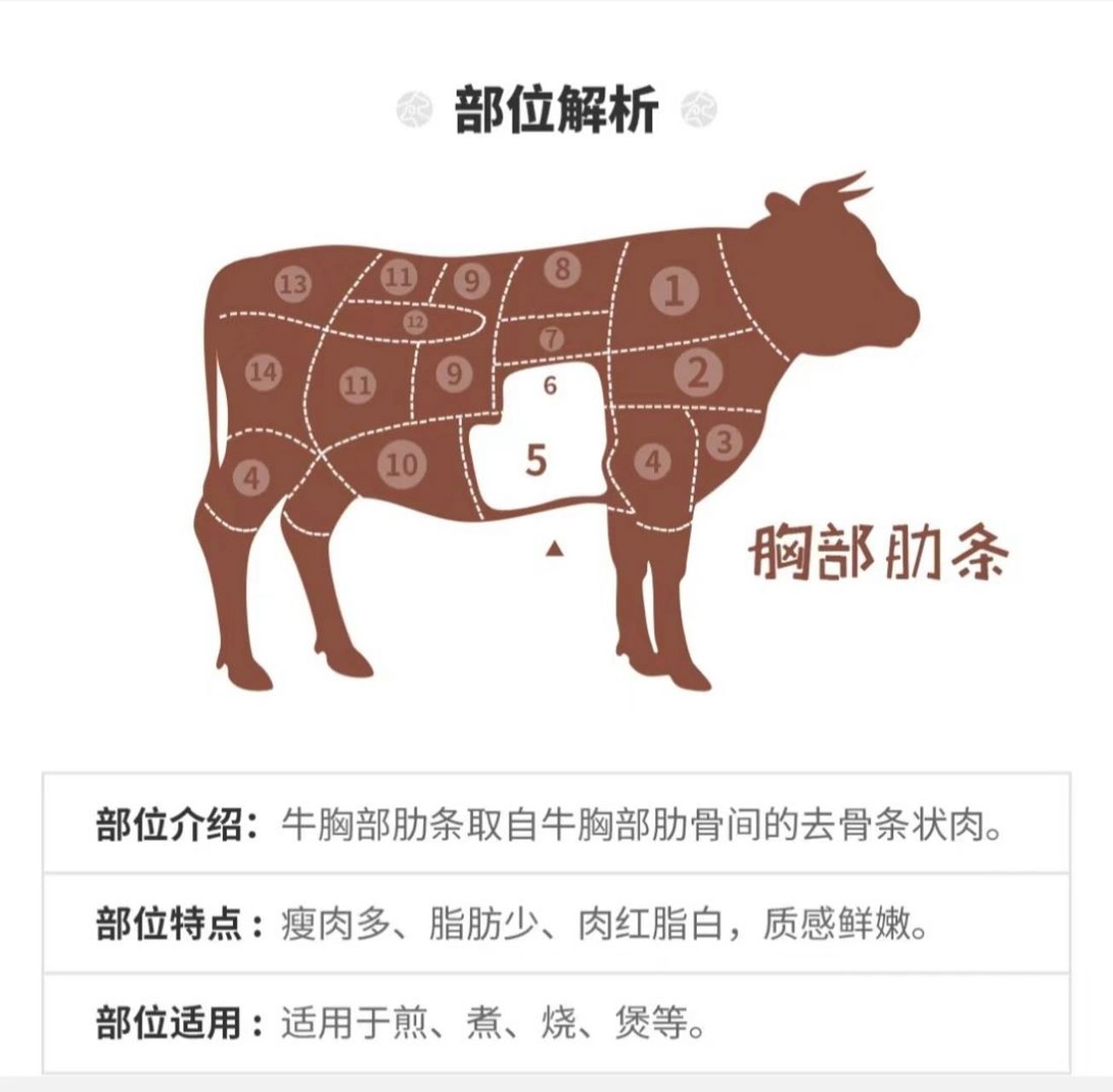 【胸部肋条】 部位介绍:牛胸部肋条取自牛胸部肋骨间的去骨条状肉