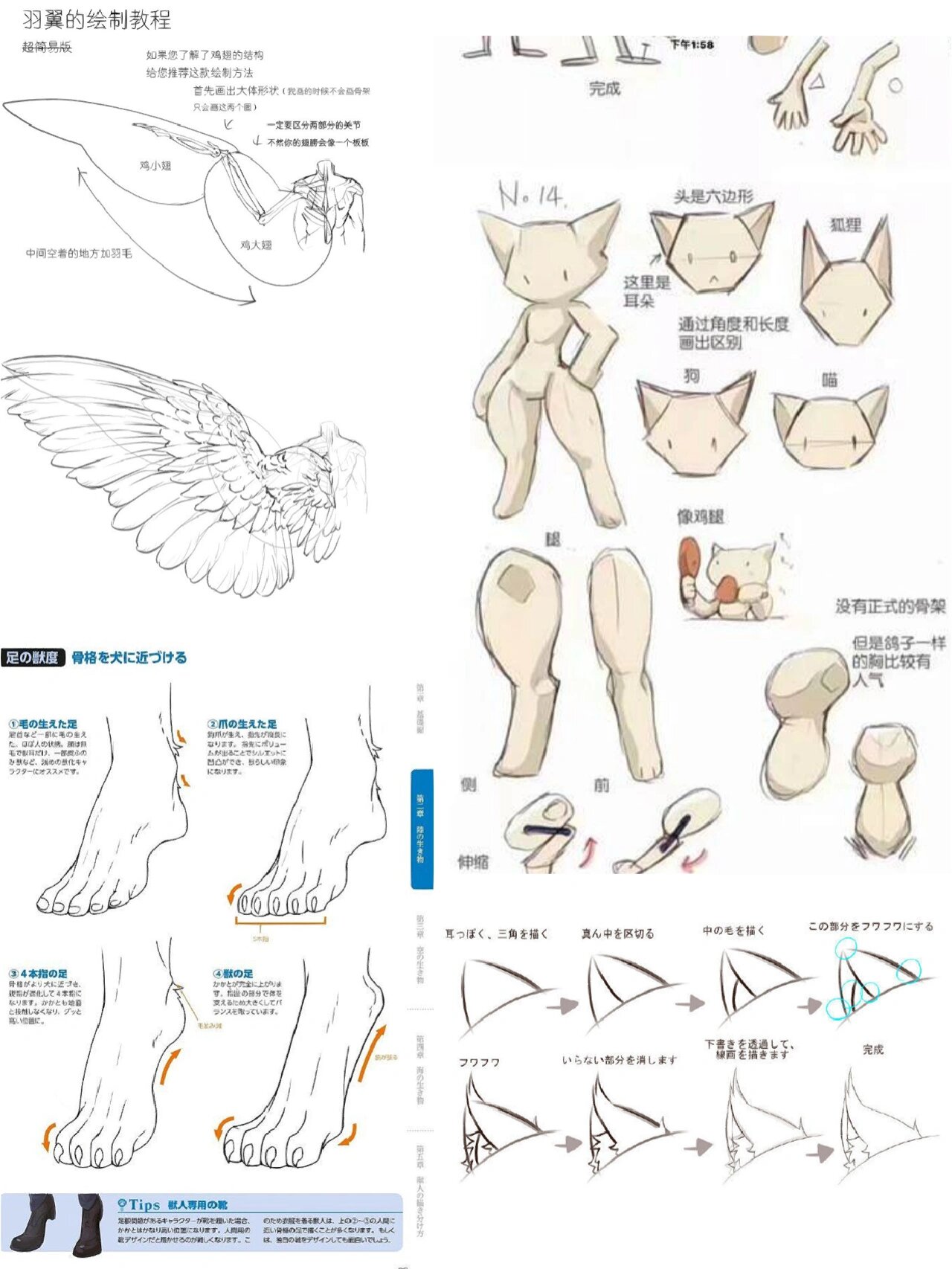 兽设全身线稿图片