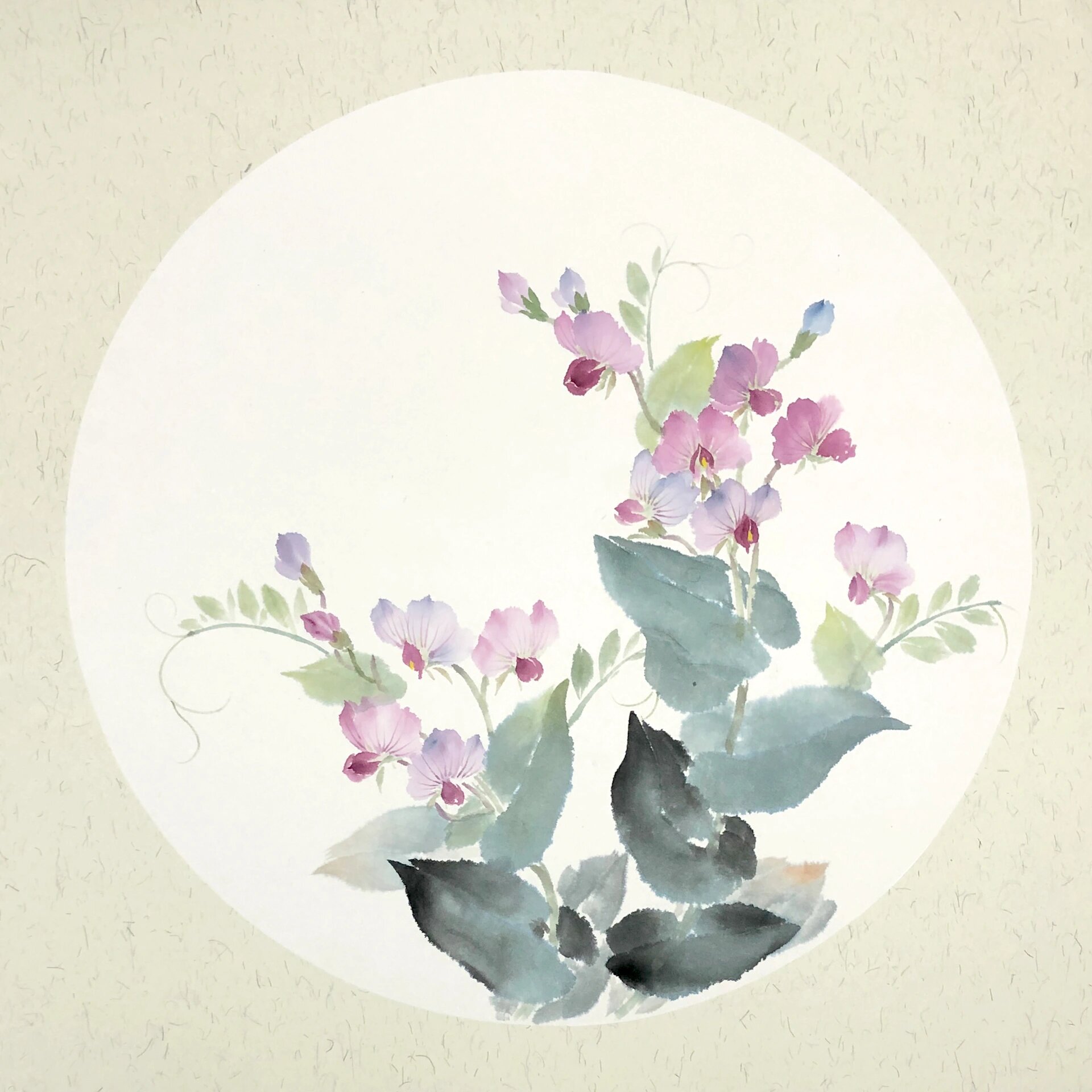 国画豌豆花教程