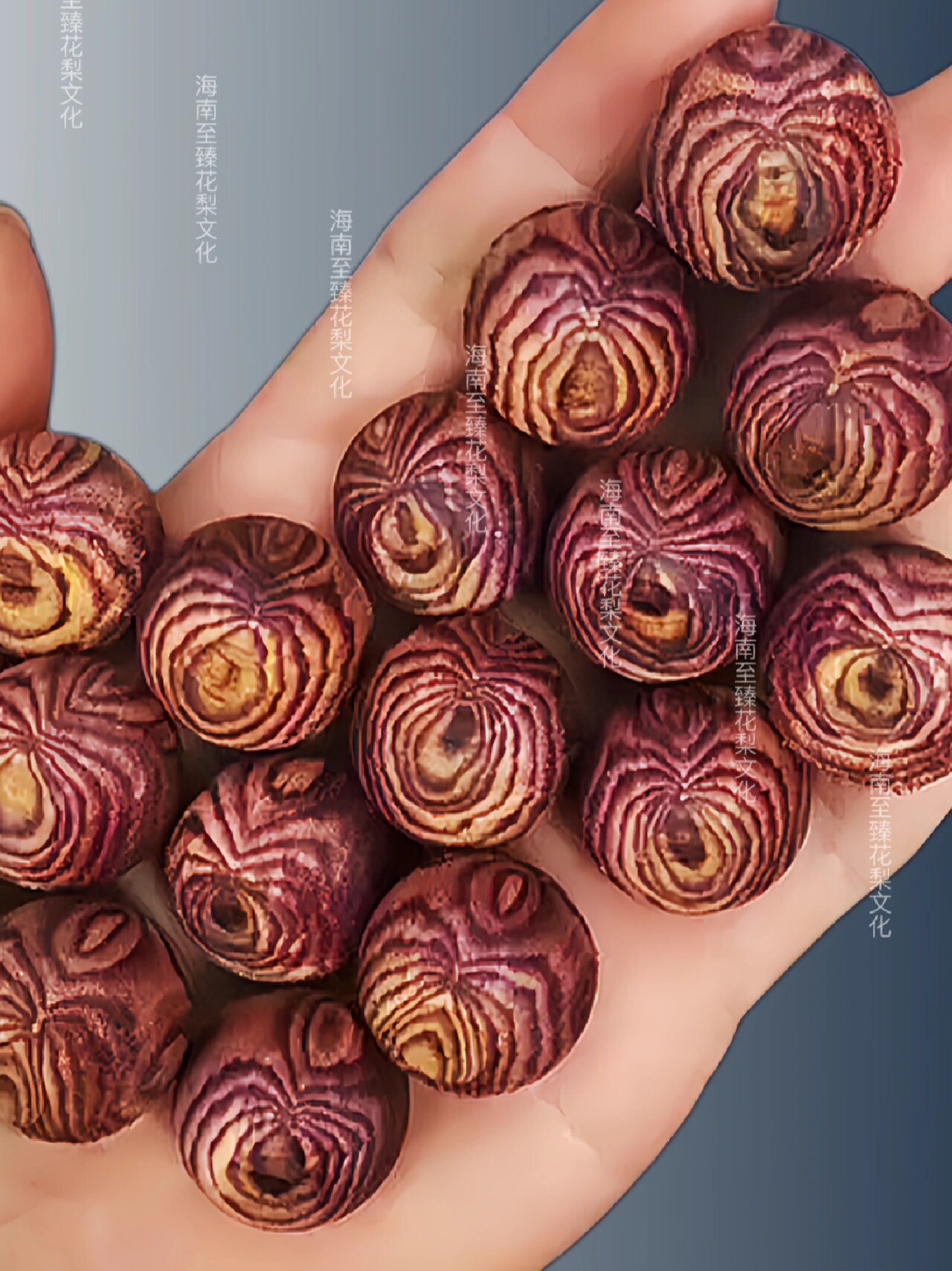 海南黄花梨蜘蛛纹手串 海南黄花梨【蜘蛛纹】诞生:对眼蜘蛛纹手串