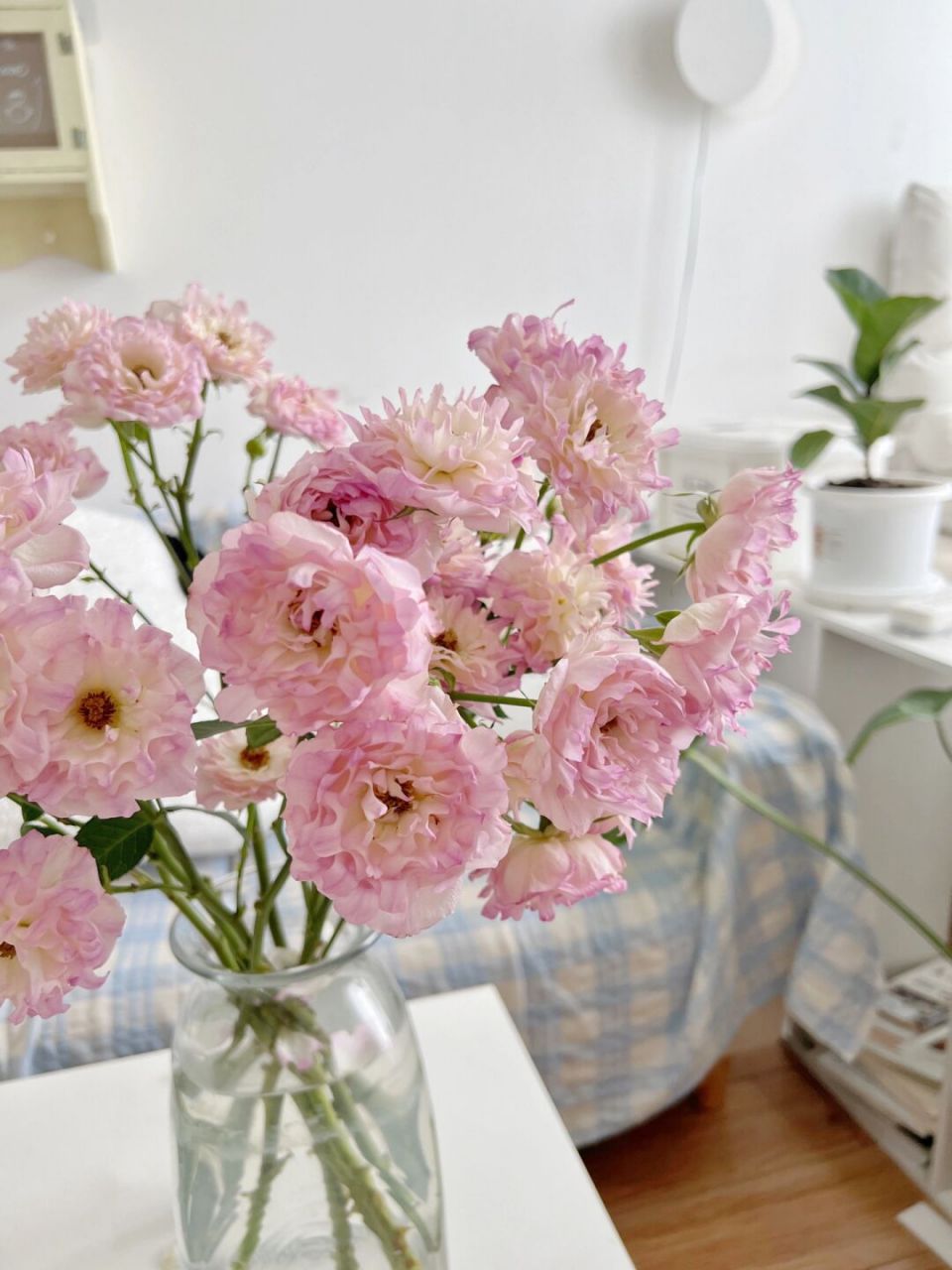 今天的好心情是鲜花给的 10090就能拥有7束好看的花花,感觉好划算